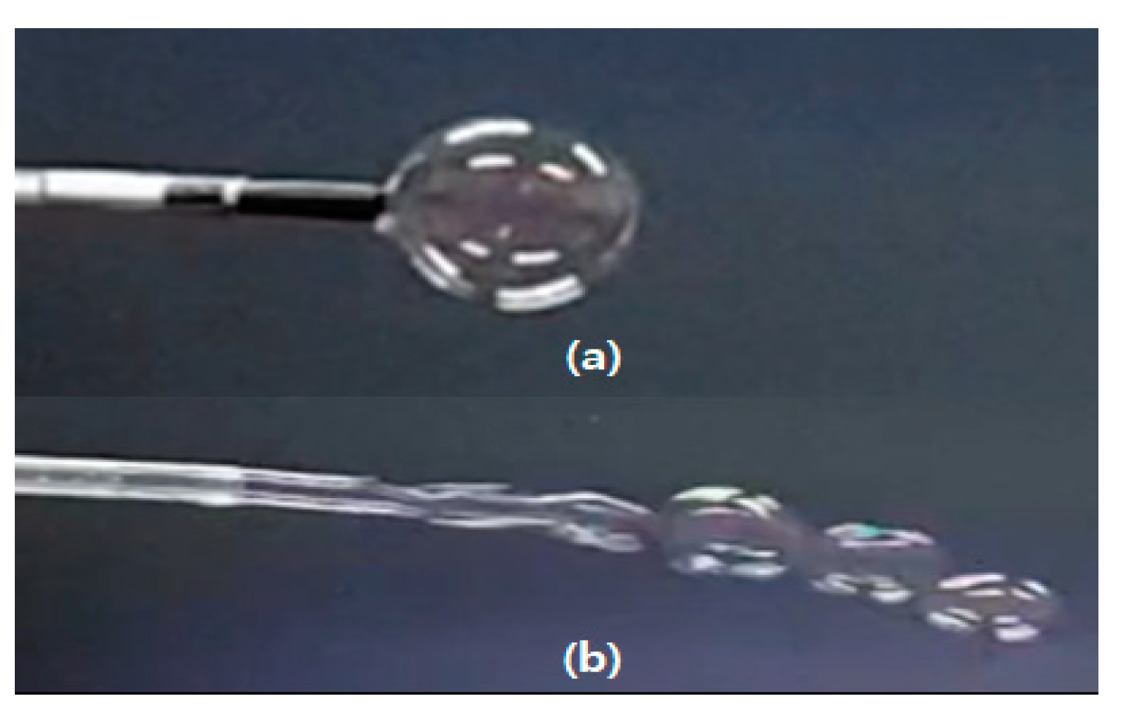 Applsci 11 03090 g001 Applsci 11 03090 g001