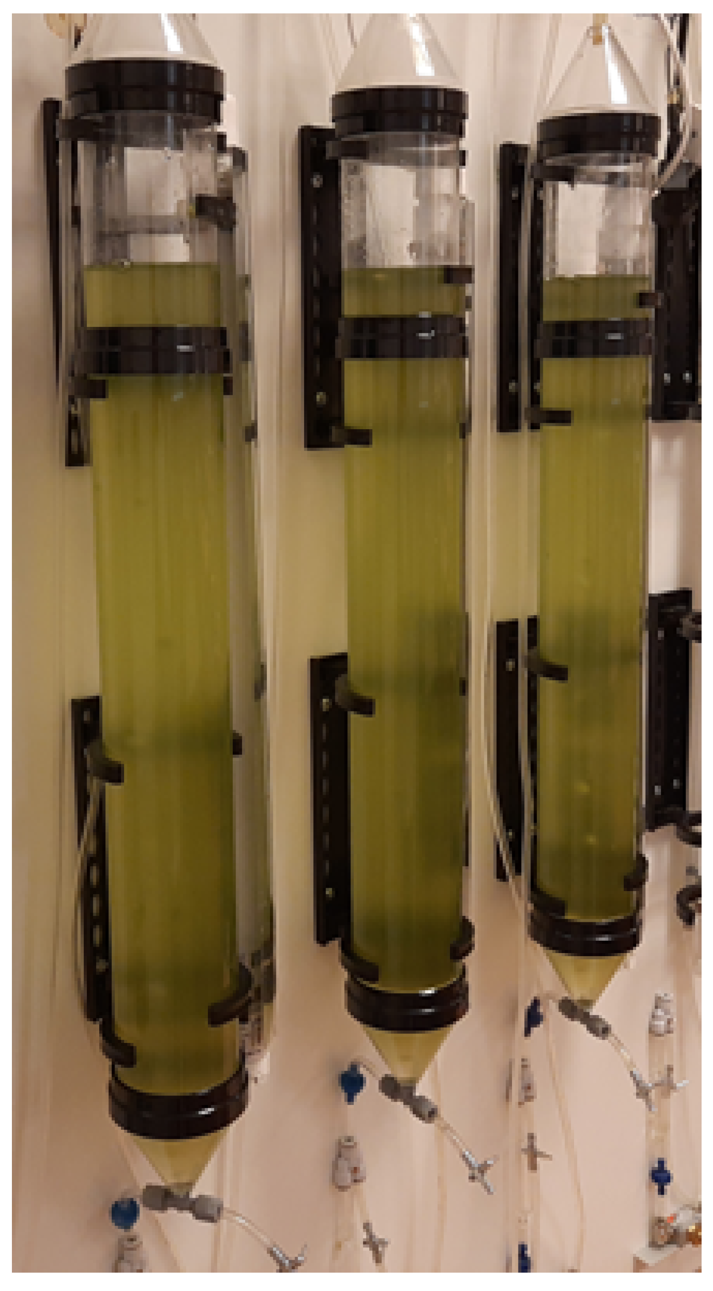 Applsci 11 03106 g001