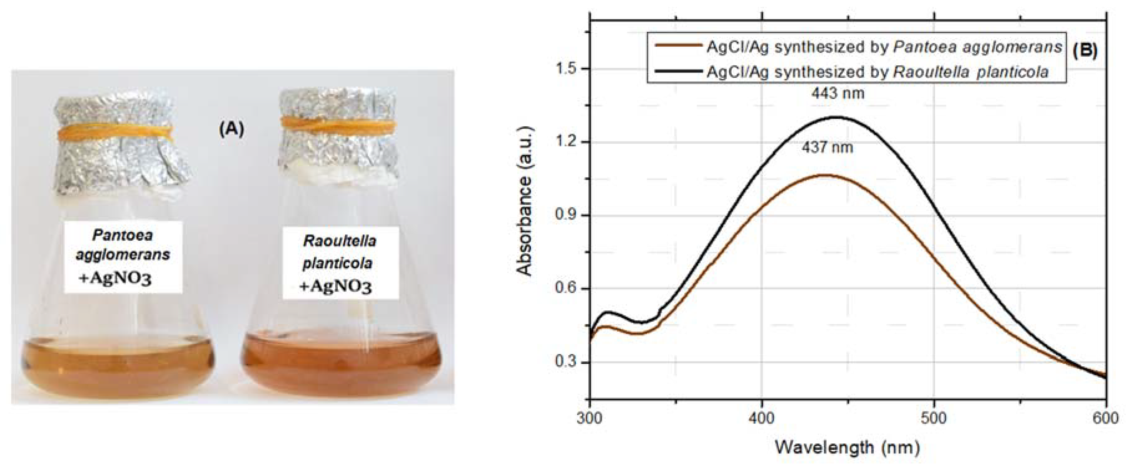 Applsci 11 03134 g001
