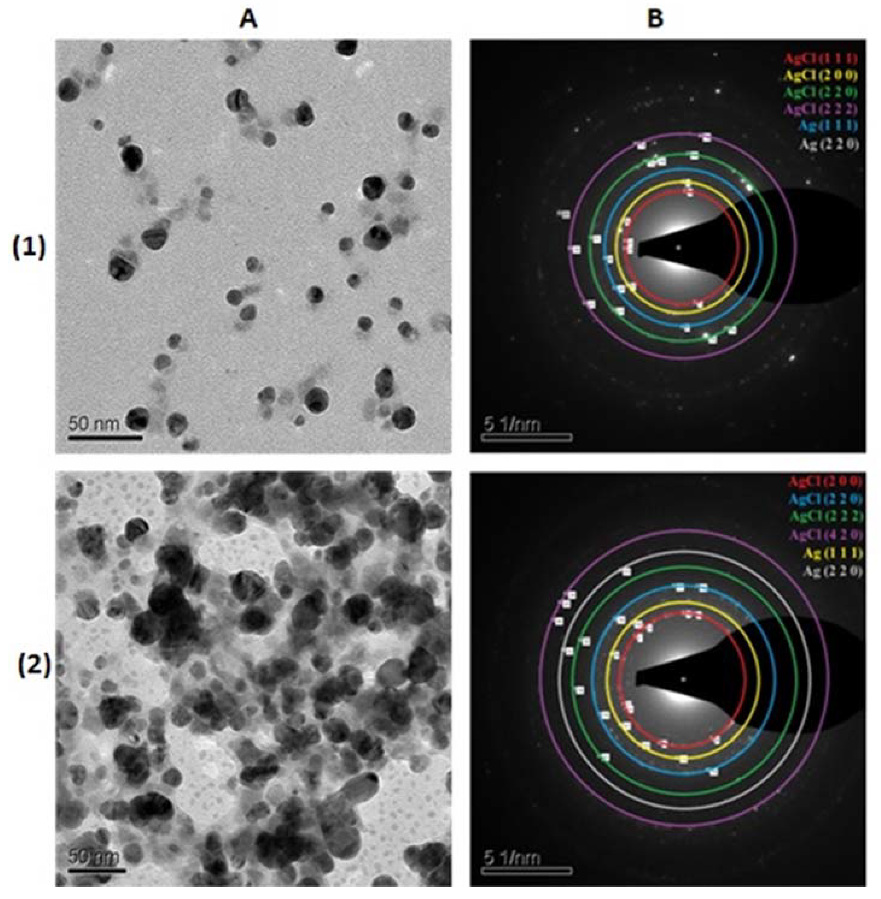 Applsci 11 03134 g003