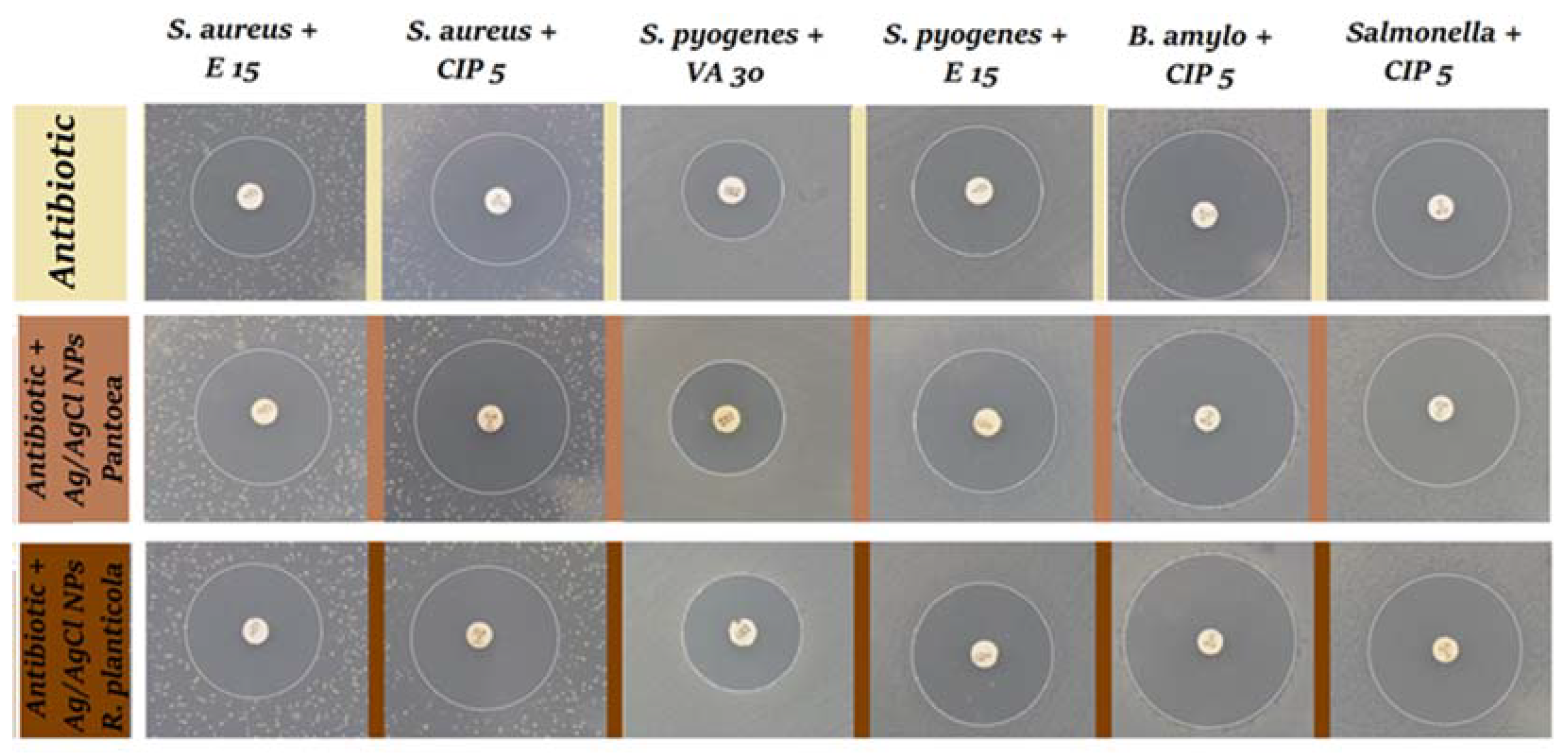 Applsci 11 03134 g008