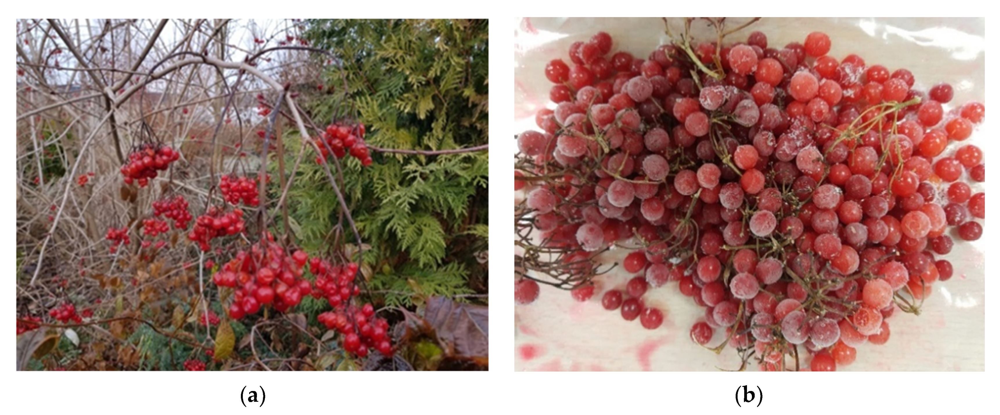 Applsci 11 03141 g001