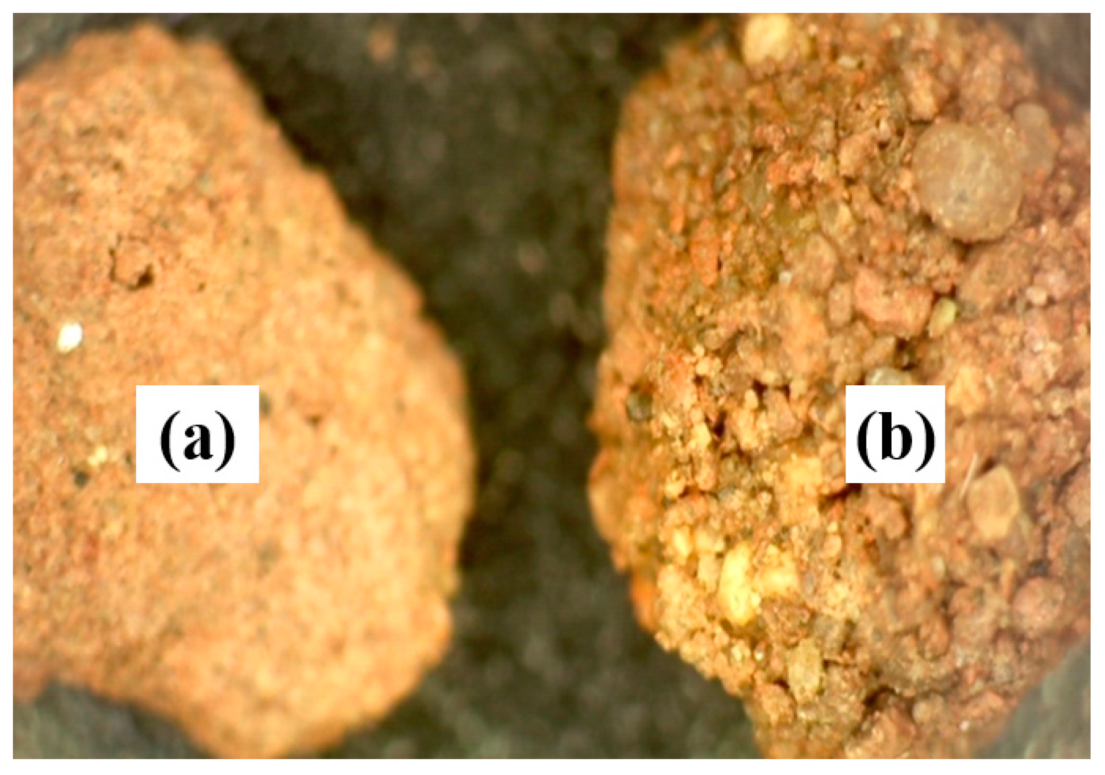 Applsci 11 03144 g012