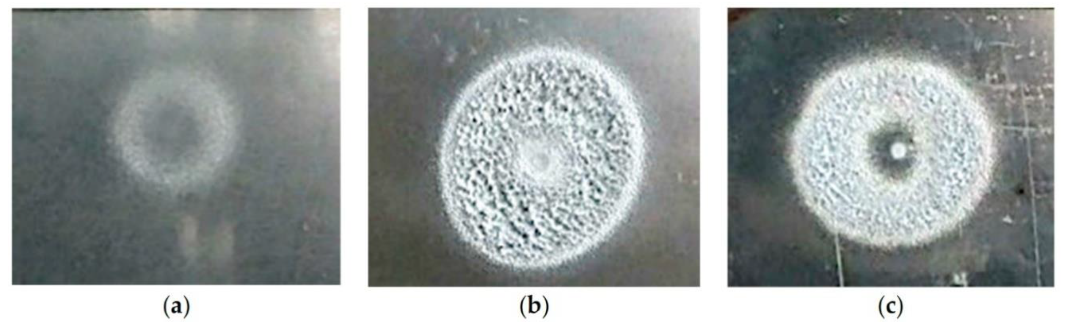 Applsci 11 03166 g015