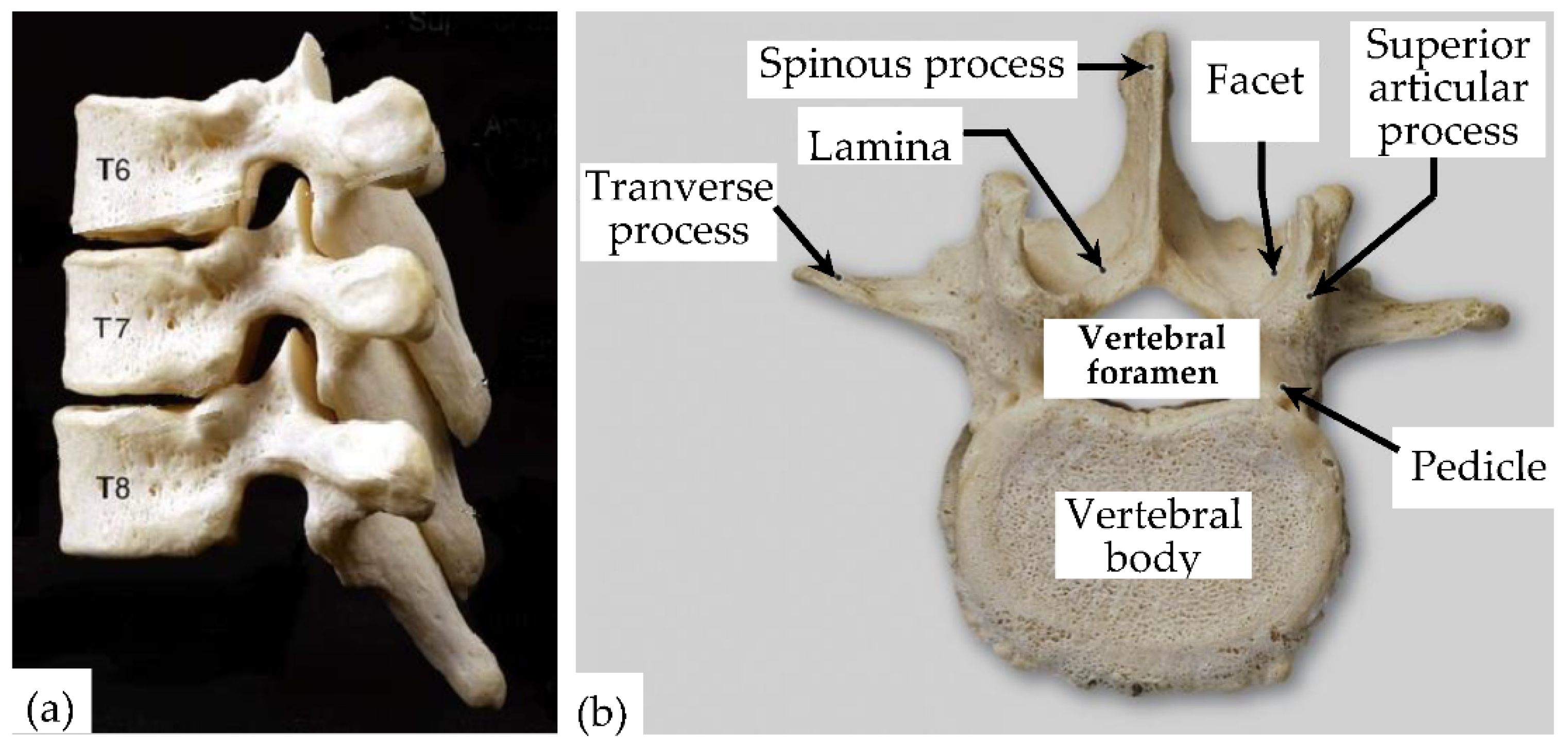 Applsci 11 03171 g002