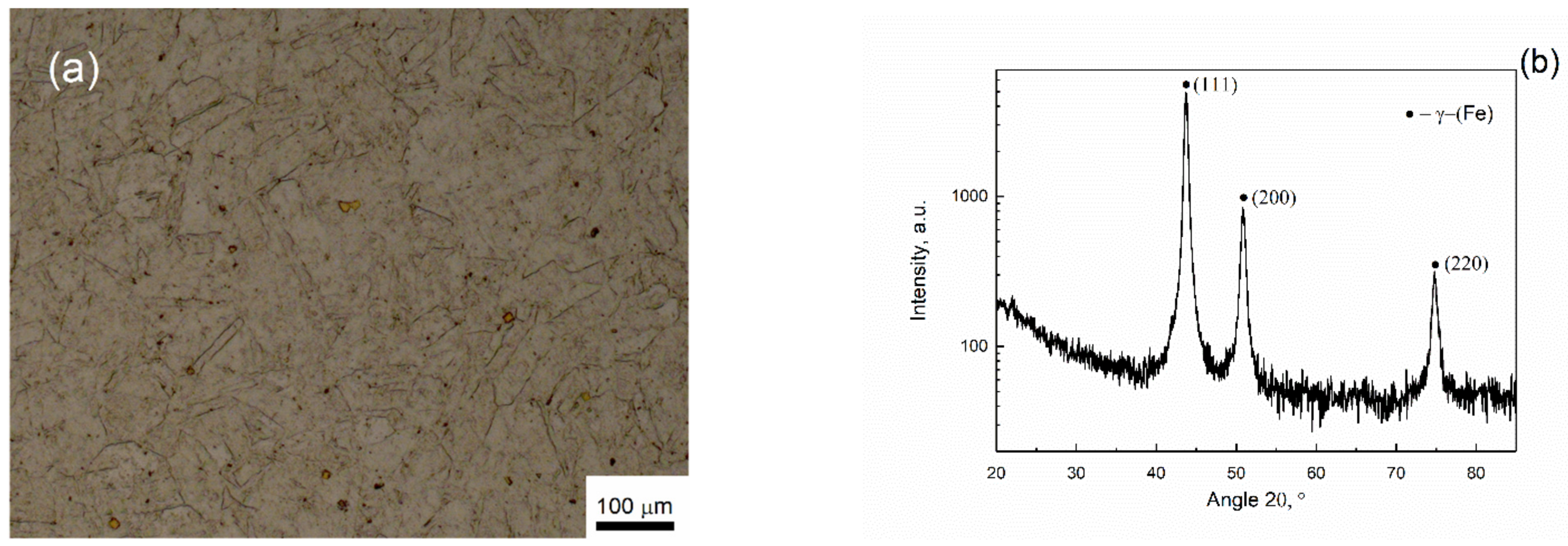 Applsci 11 03204 g001 Applsci 11 03204 g001