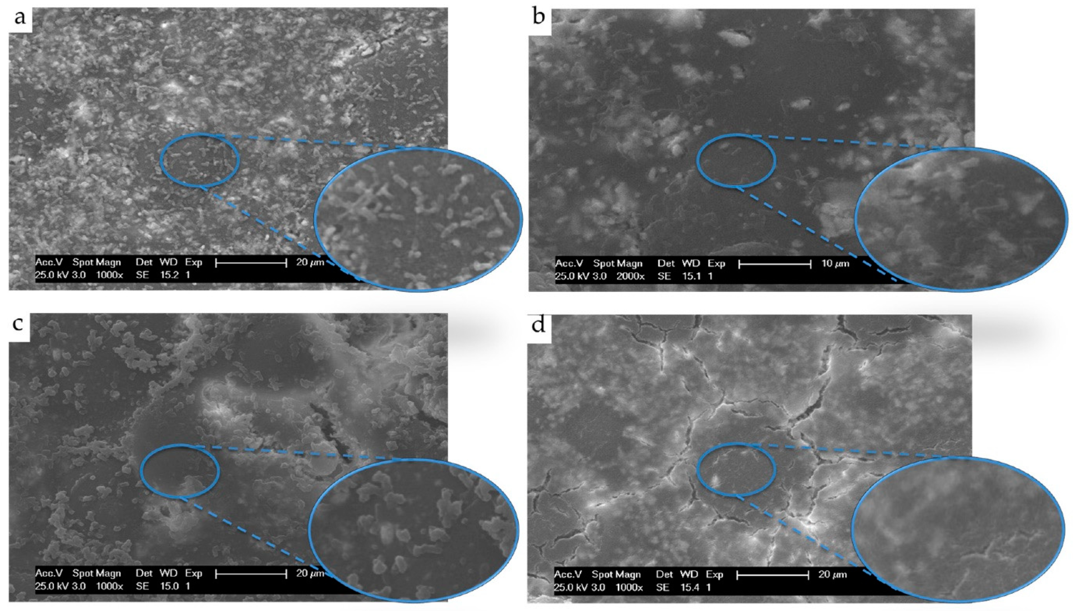 Applsci 11 03279 g006 Applsci 11 03279 g006