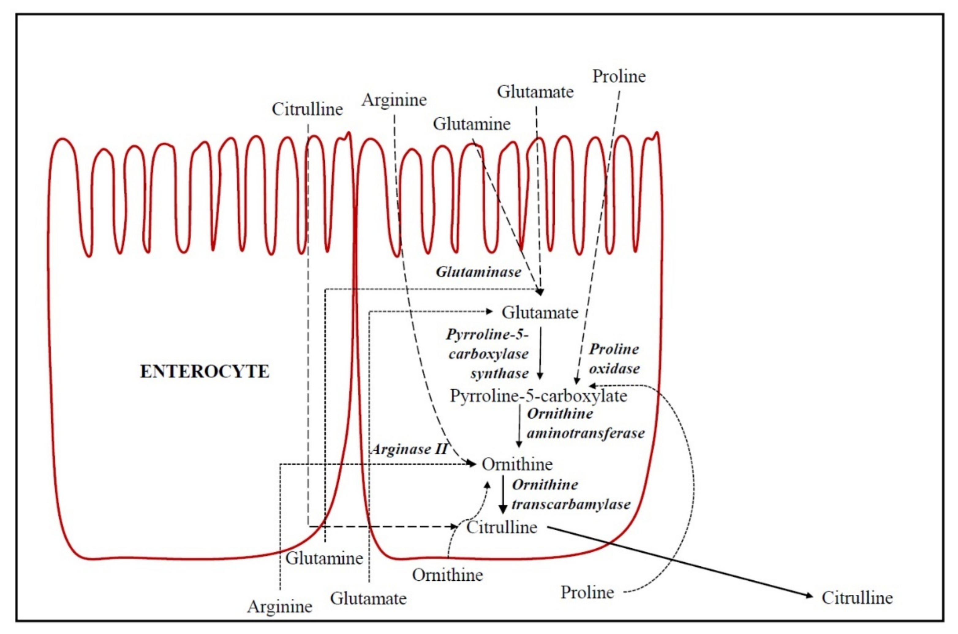 Applsci 11 03293 g001
