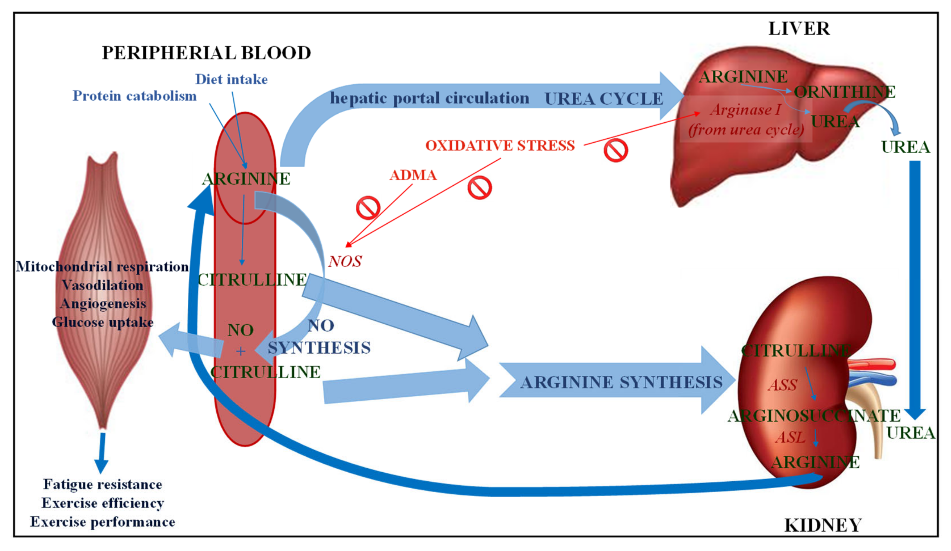 Applsci 11 03293 g002