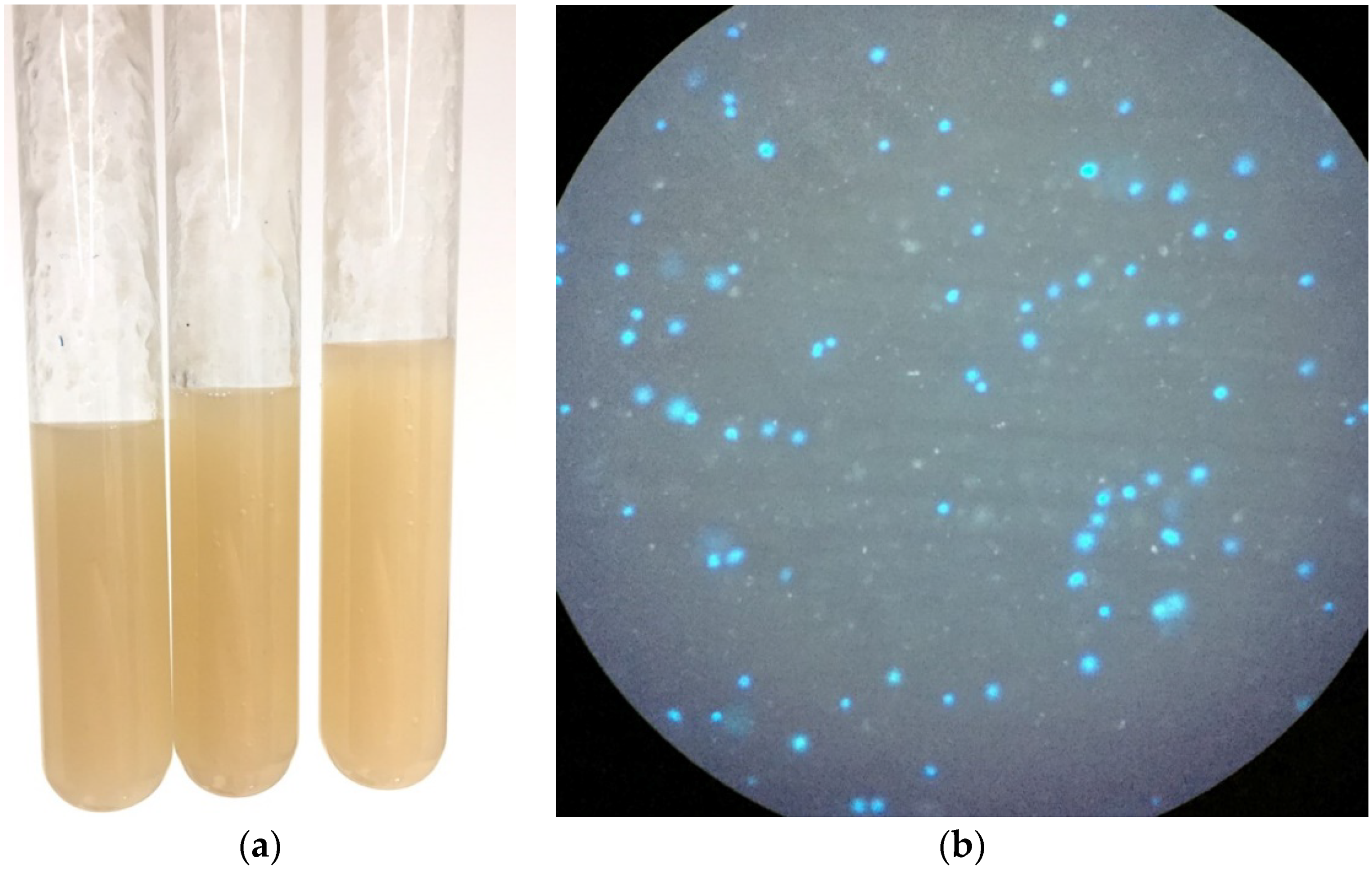 Applsci 11 03342 g002 Applsci 11 03342 g002