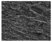 Applsci 11 03344 i005 Applsci 11 03344 i005