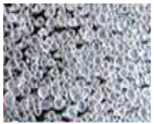 Applsci 11 03344 i006 Applsci 11 03344 i006