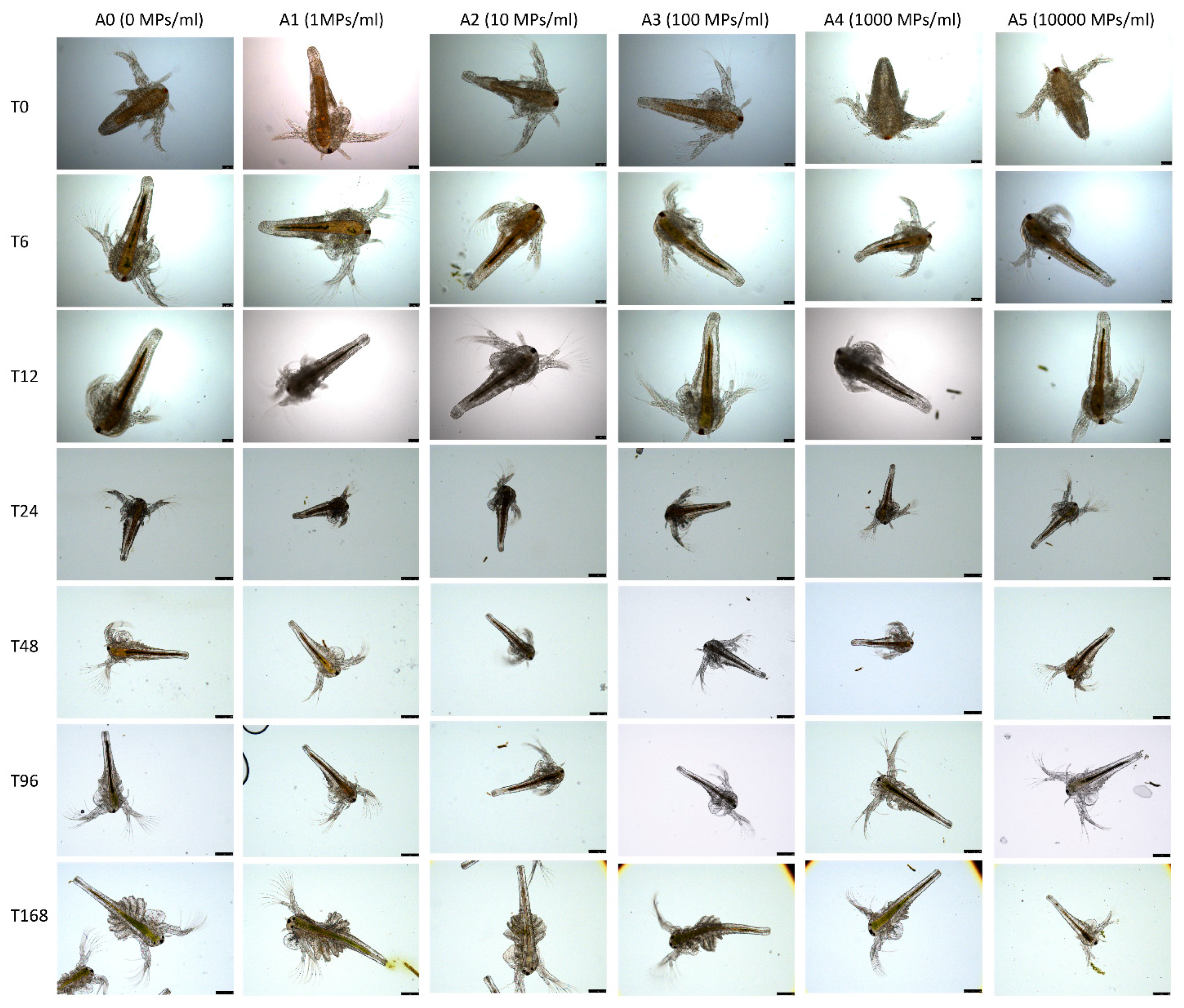 Applsci 11 03352 g005