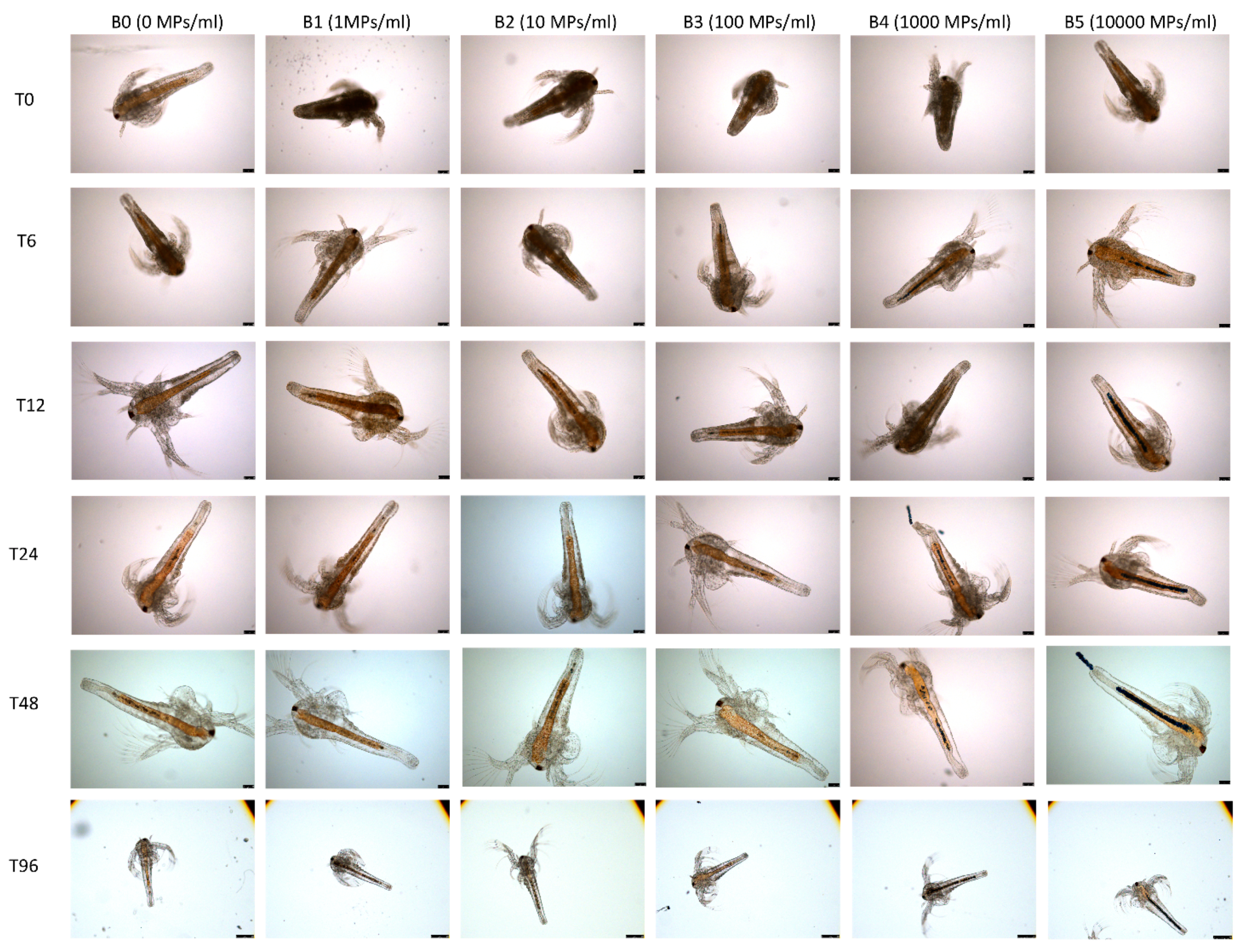 Applsci 11 03352 g006