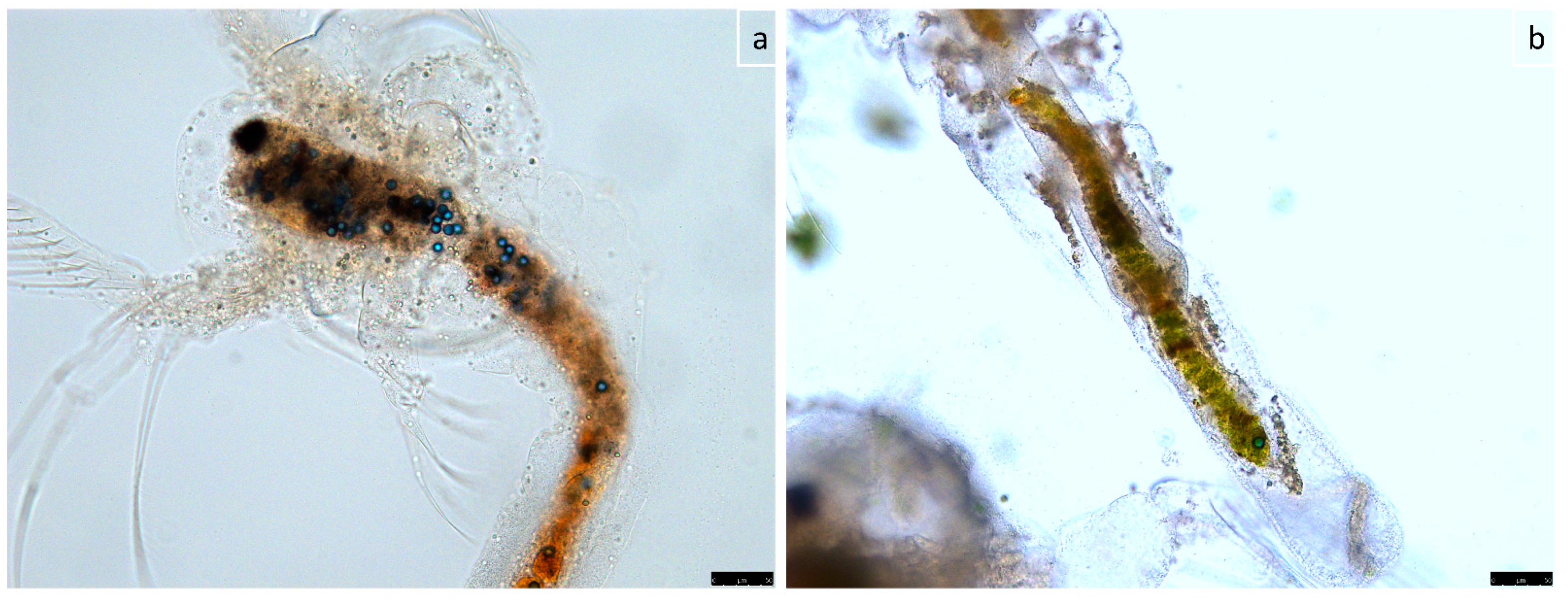 Applsci 11 03352 g009