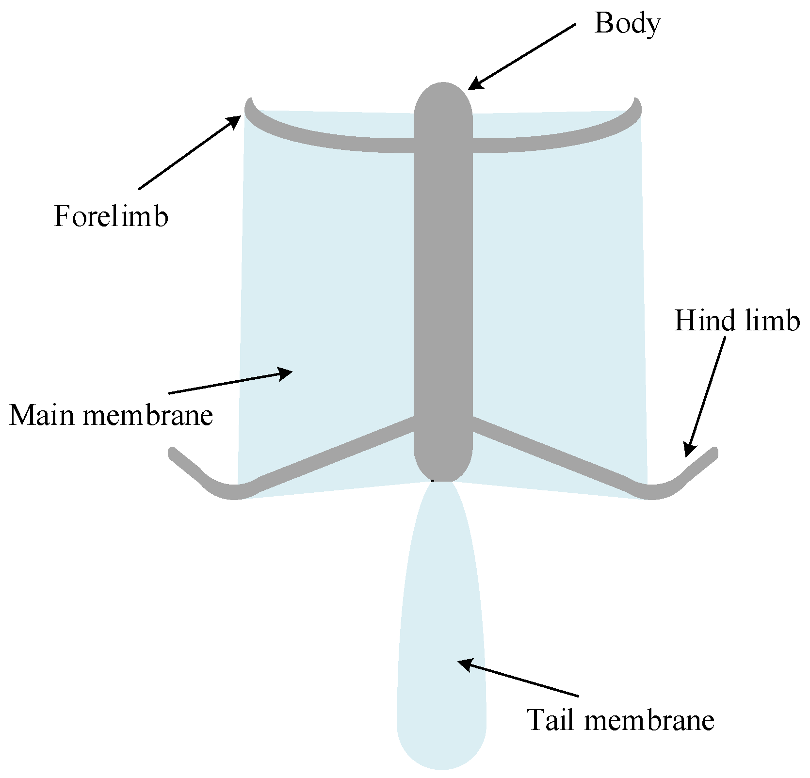 Applsci 11 03362 g001