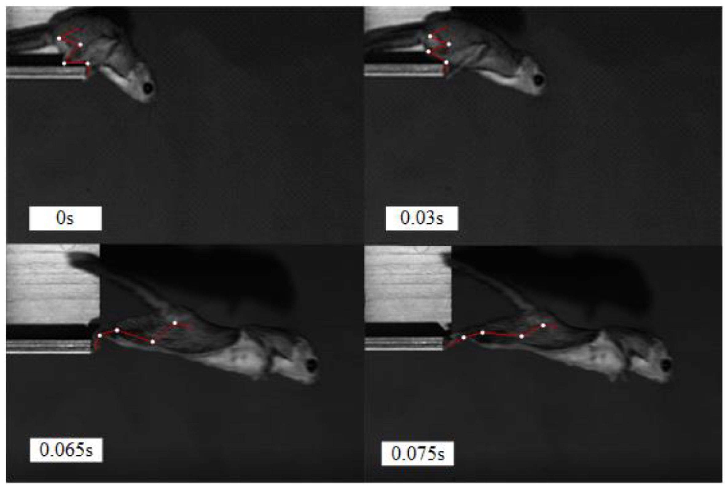 Applsci 11 03362 g003