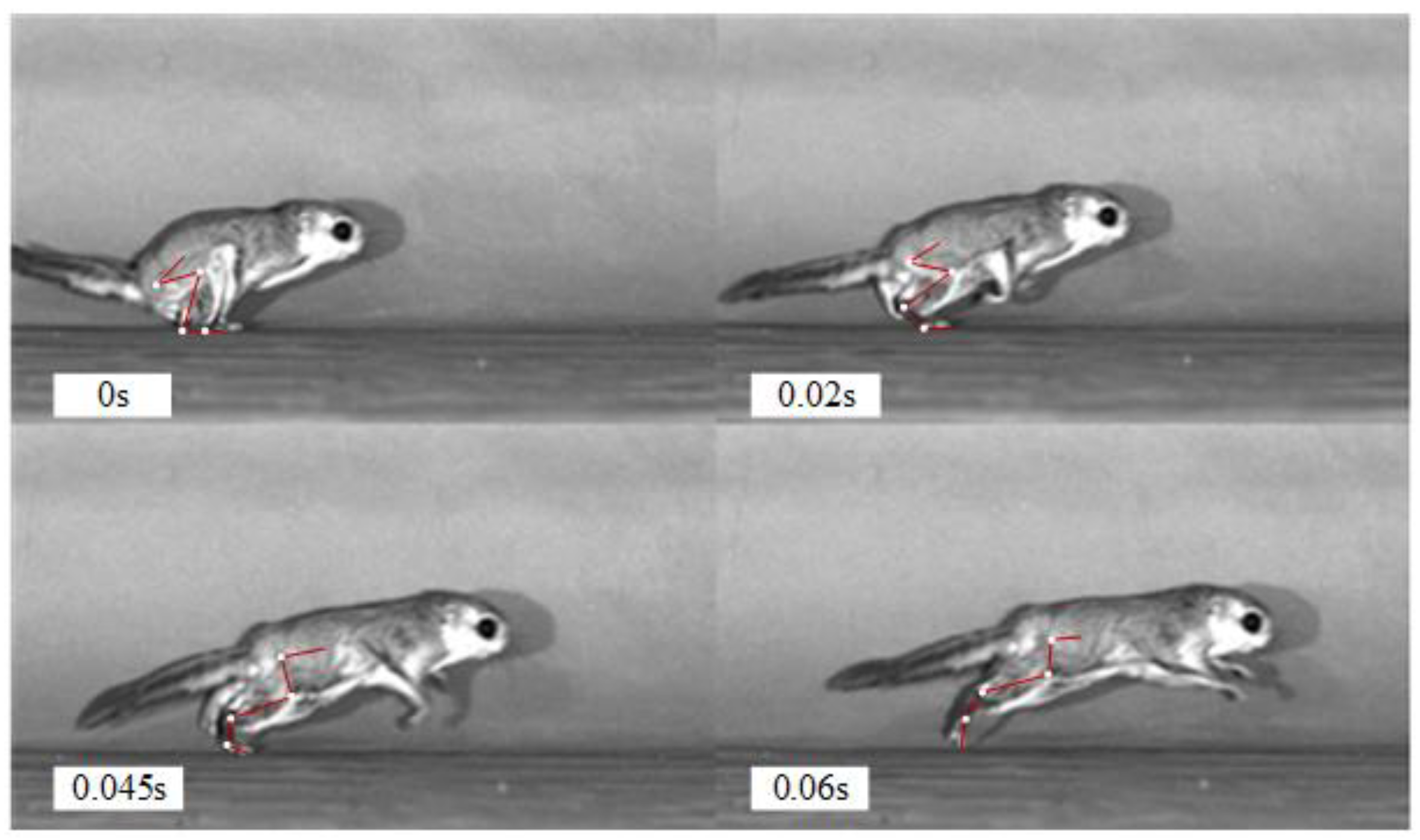 Applsci 11 03362 g004