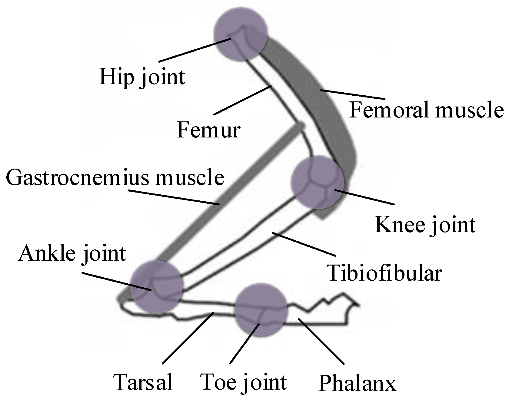 Applsci 11 03362 g005
