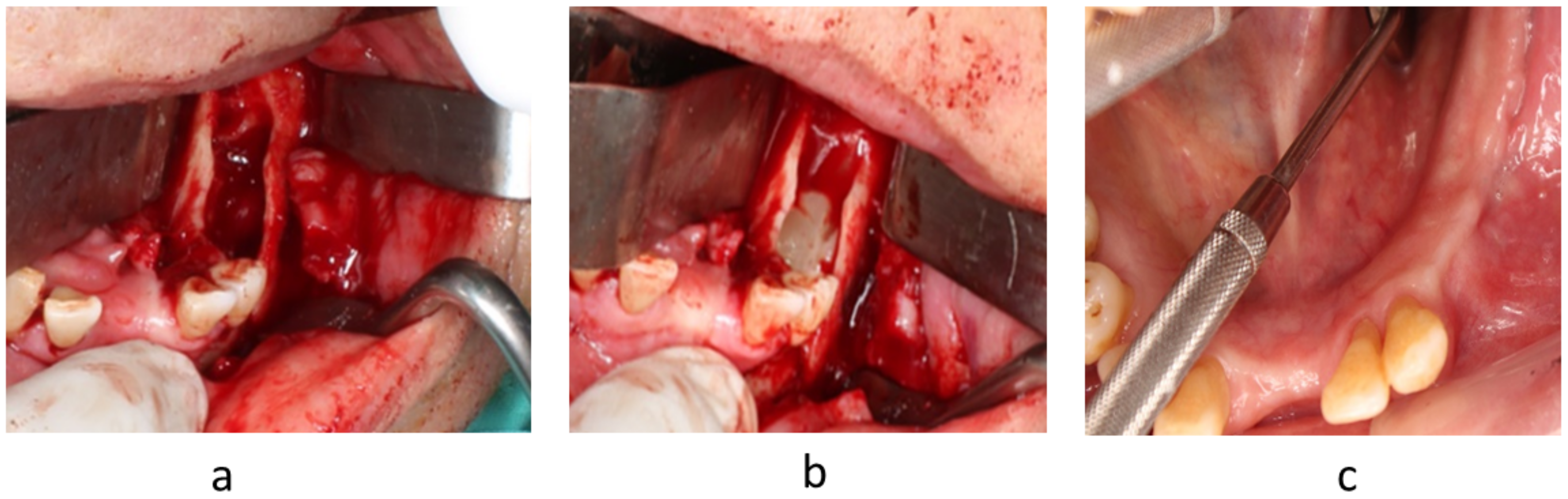 Applsci 11 03365 g002 Applsci 11 03365 g002