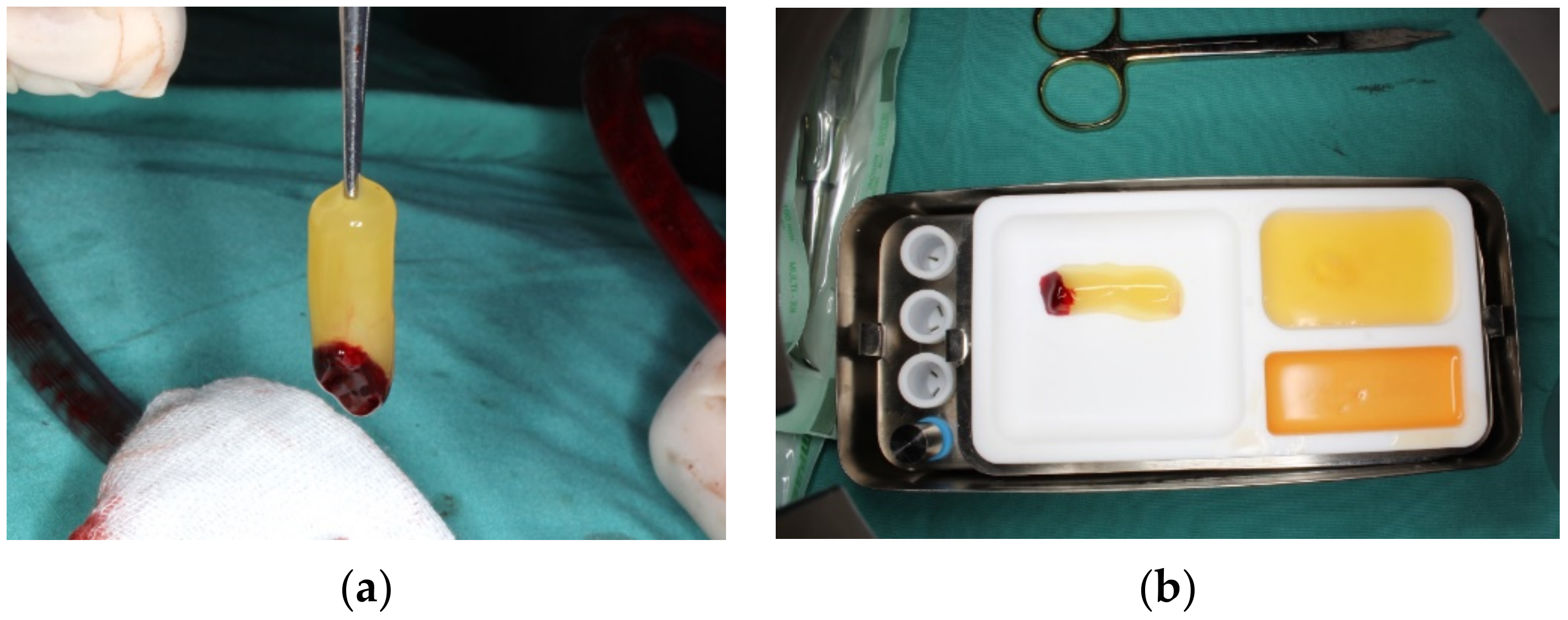 Applsci 11 03365 g003 Applsci 11 03365 g003