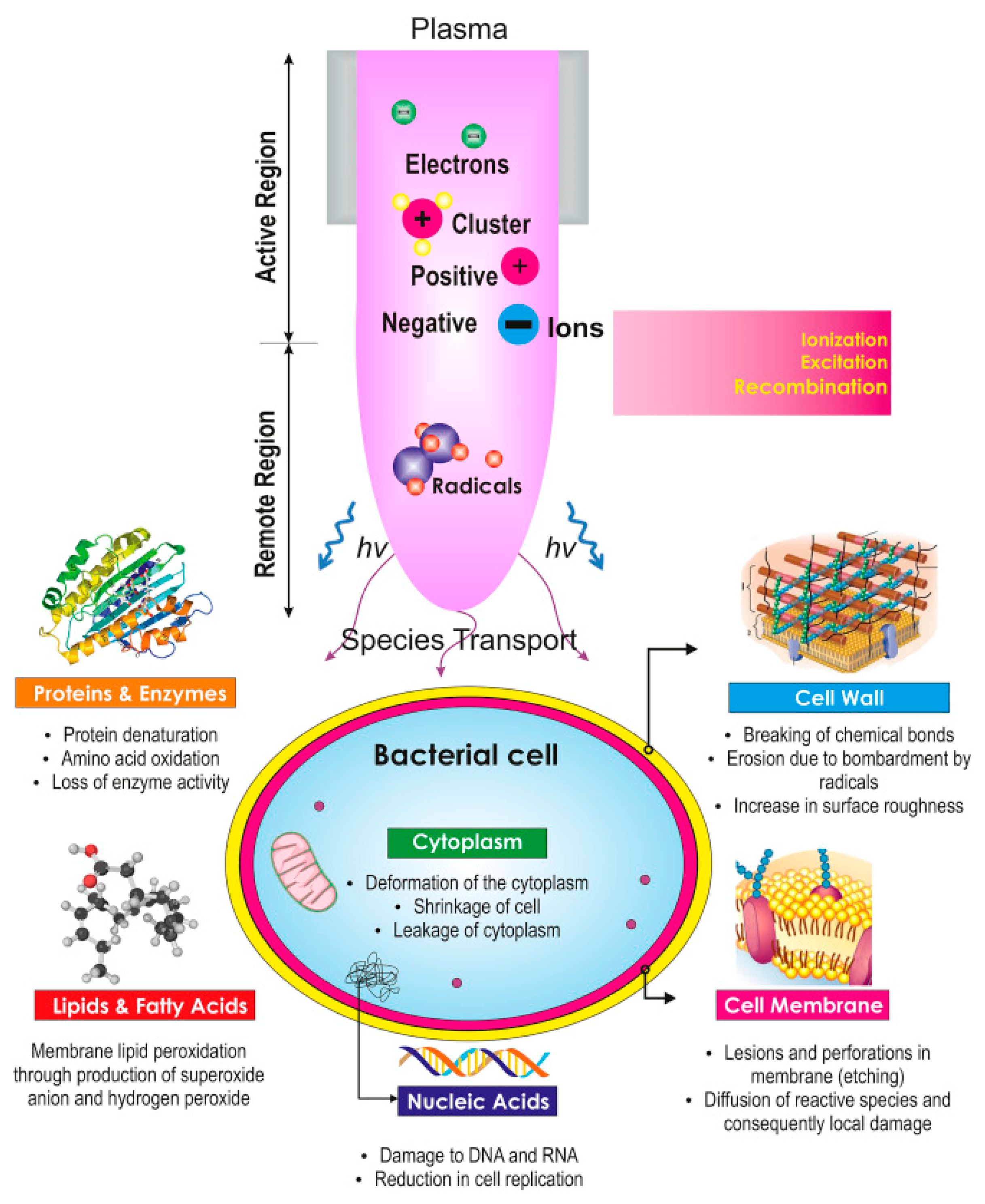 Applsci 11 03372 g007