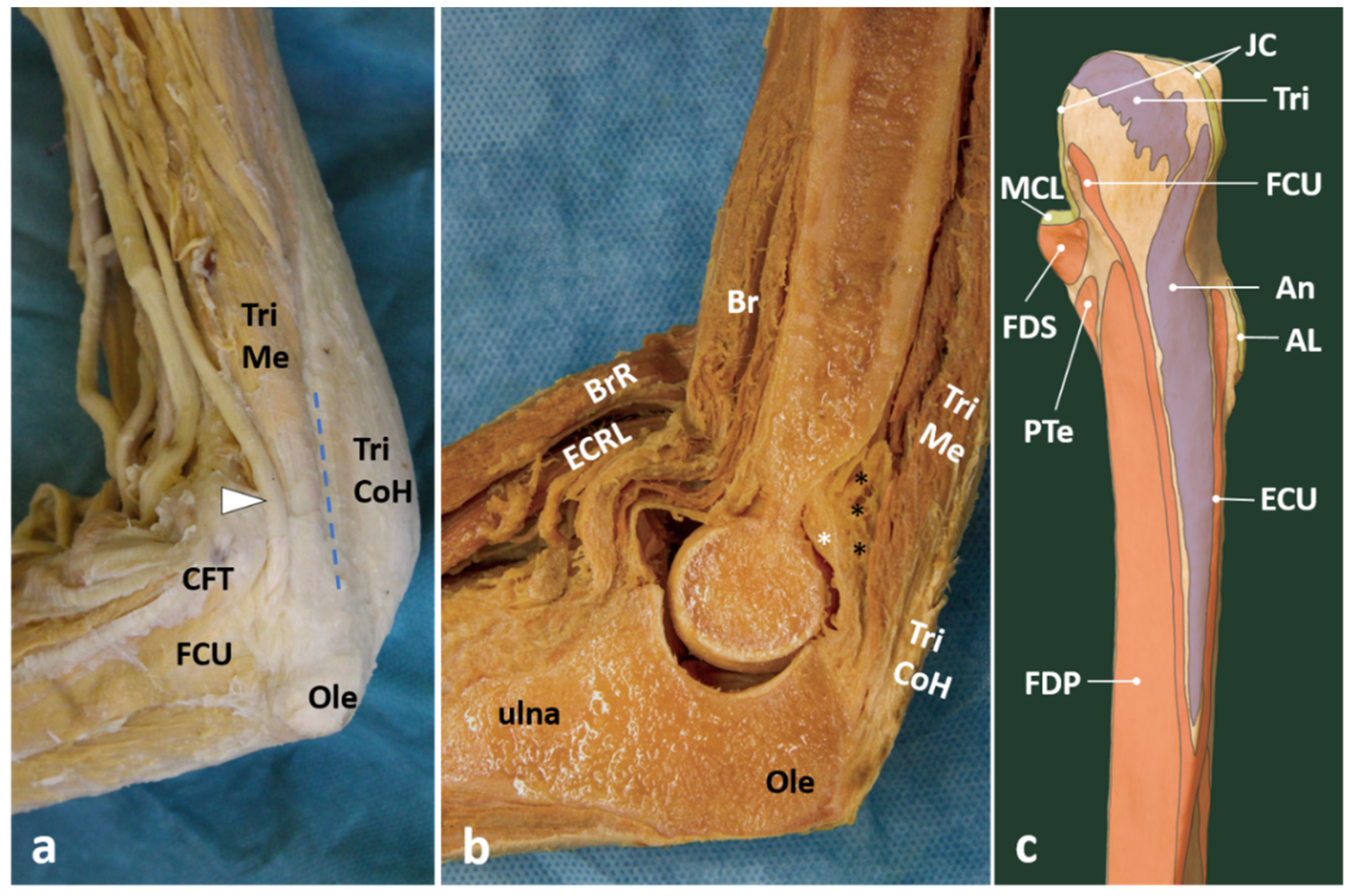 Applsci 11 03431 g011 Applsci 11 03431 g011