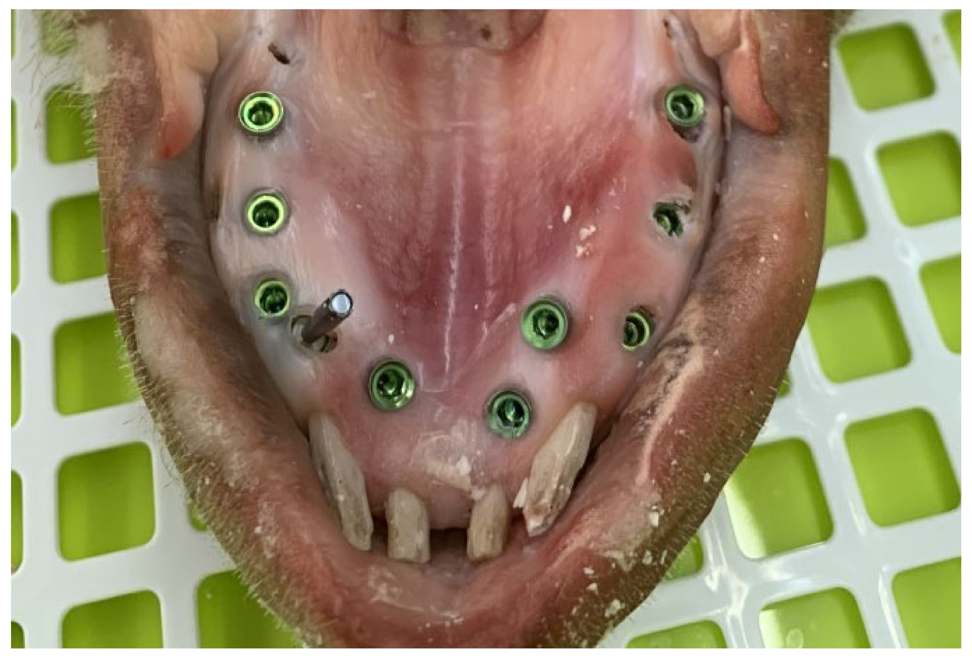 Applsci 11 03453 g001