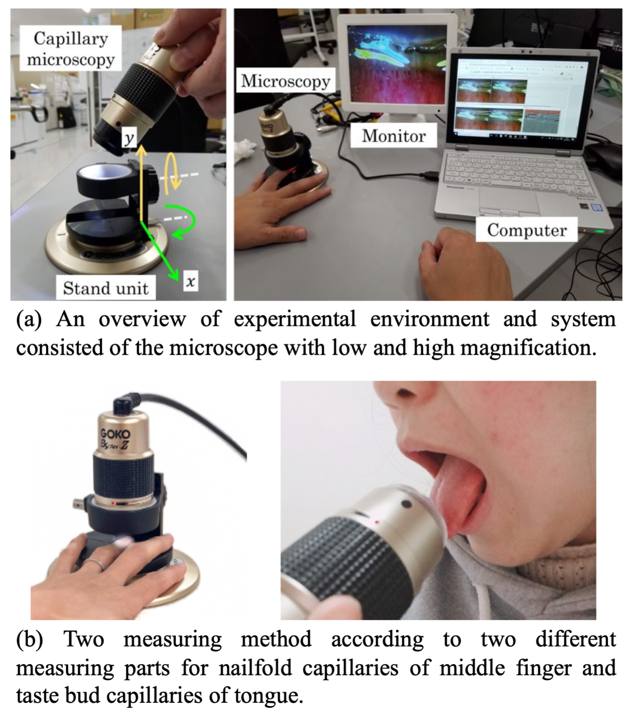 Applsci 11 03460 g001 Applsci 11 03460 g001