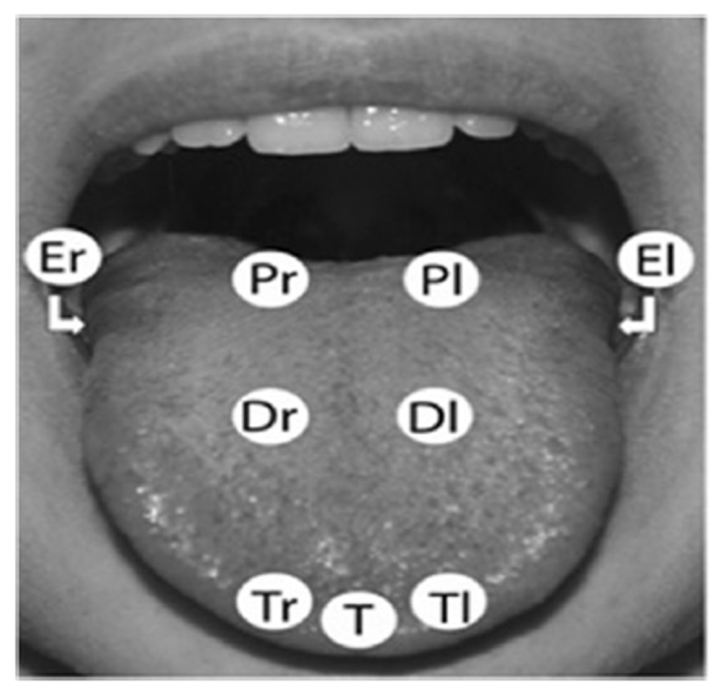 Applsci 11 03460 g002 Applsci 11 03460 g002