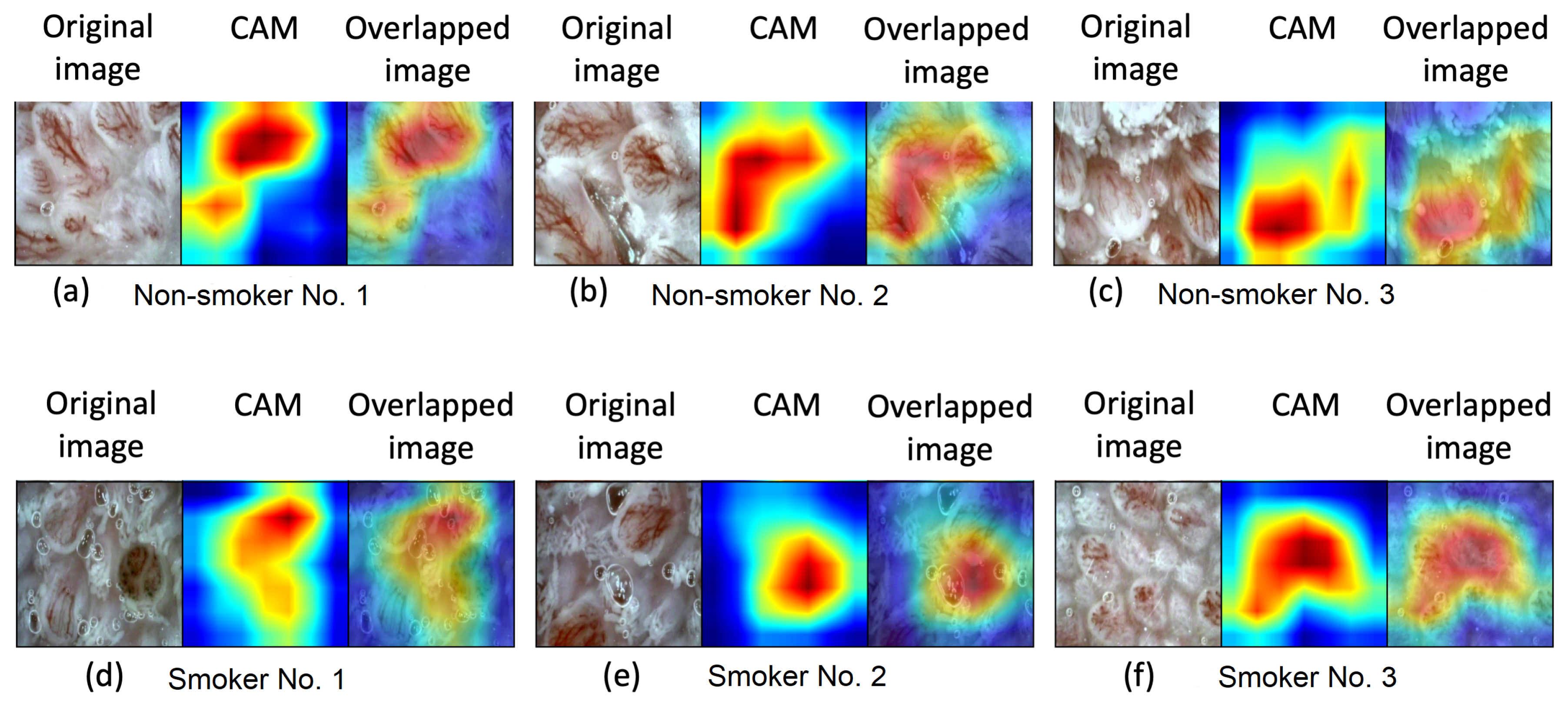 Applsci 11 03460 g005 Applsci 11 03460 g005