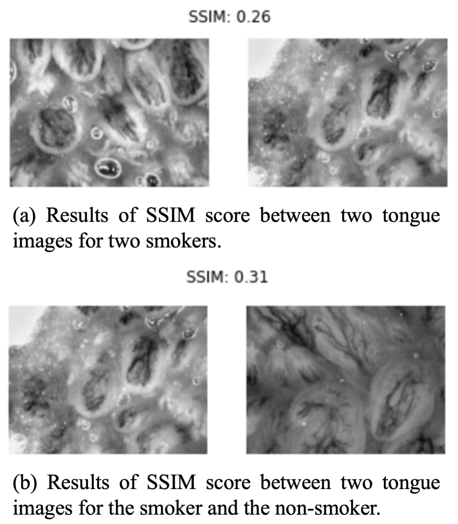 Applsci 11 03460 g006 Applsci 11 03460 g006