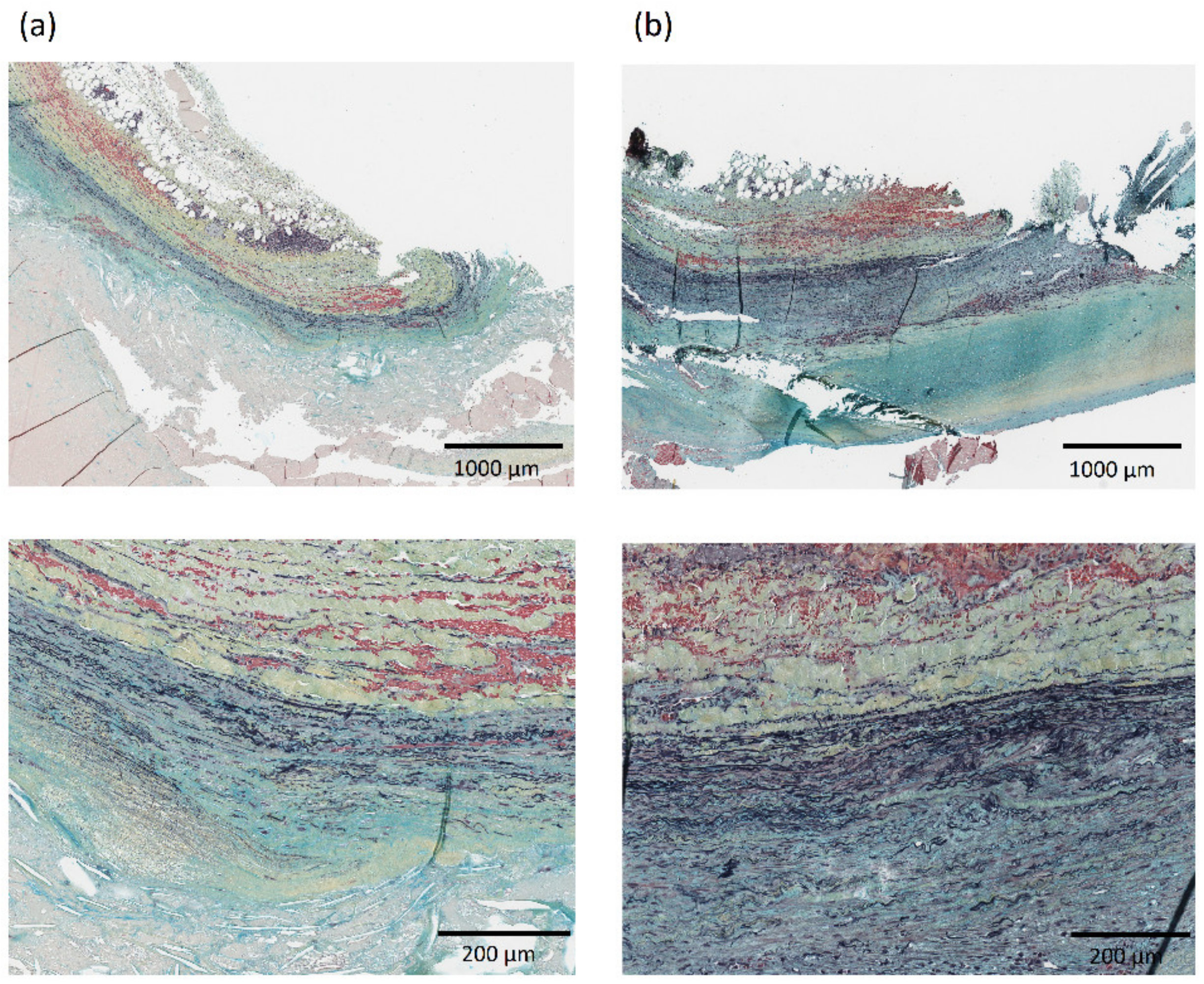 Applsci 11 03485 g004