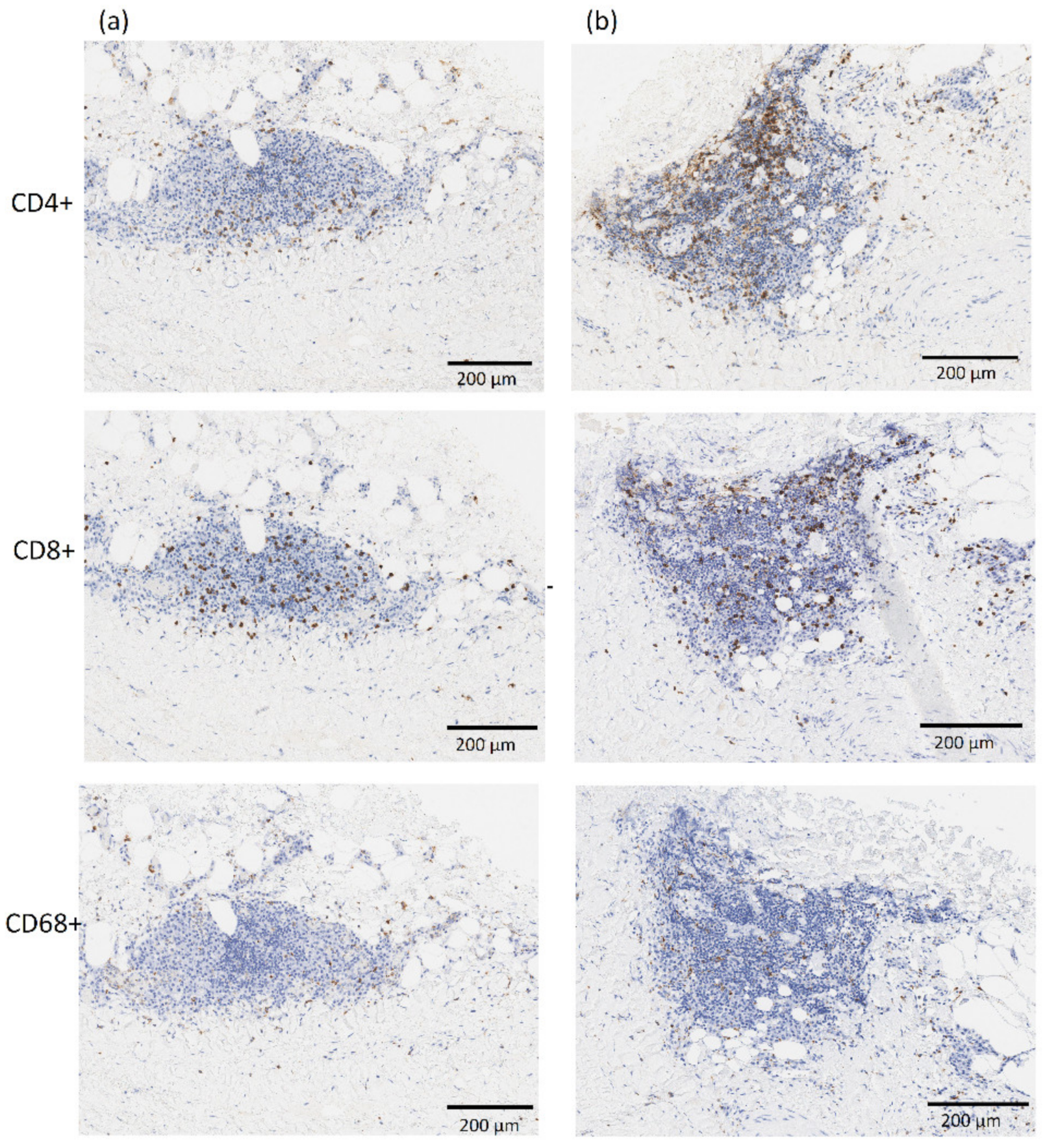 Applsci 11 03485 g006
