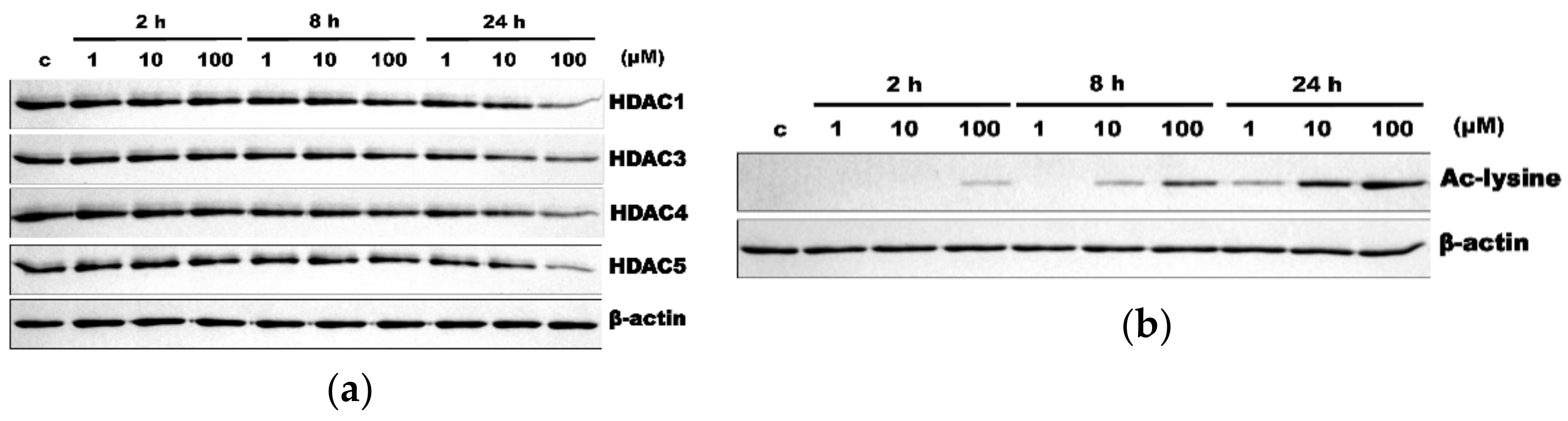 Applsci 11 03486 g001 Applsci 11 03486 g001