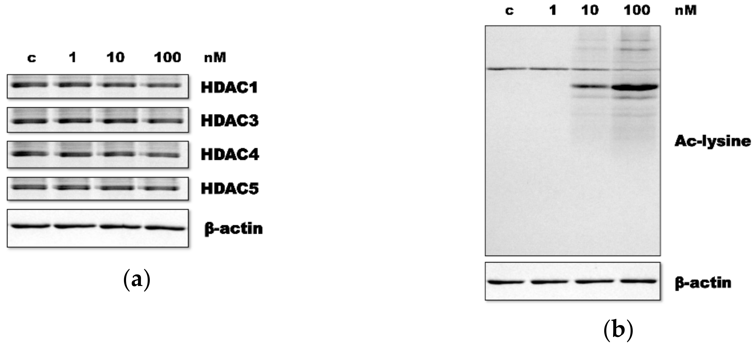 Applsci 11 03486 g002 Applsci 11 03486 g002