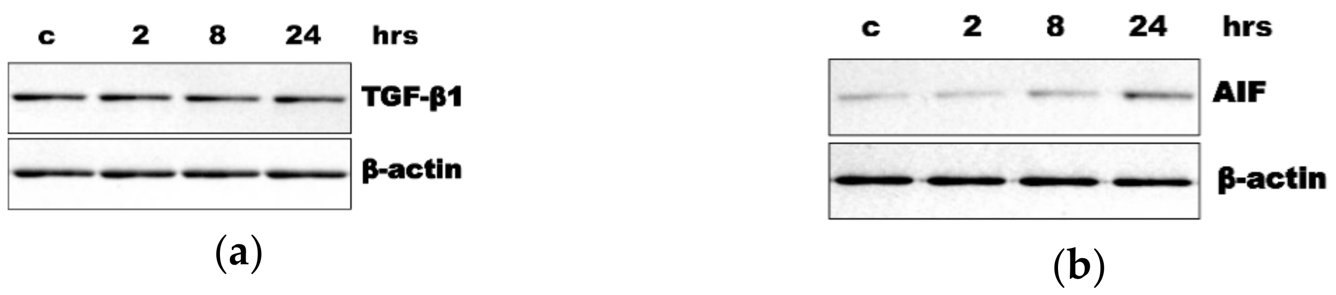 Applsci 11 03486 g003 Applsci 11 03486 g003