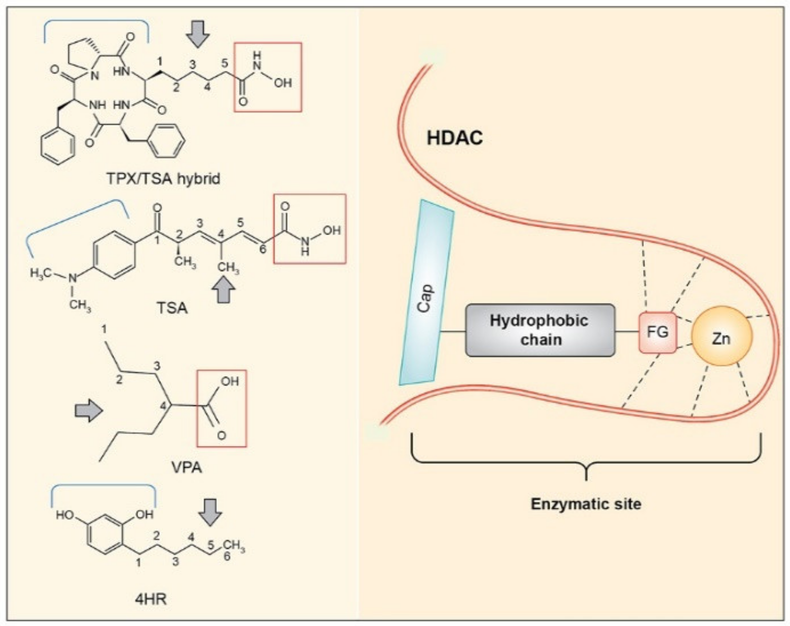 Applsci 11 03486 g005 Applsci 11 03486 g005