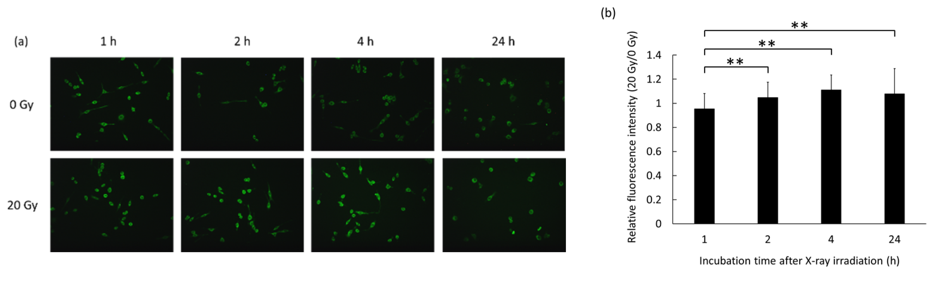 Applsci 11 03503 g002 Applsci 11 03503 g002