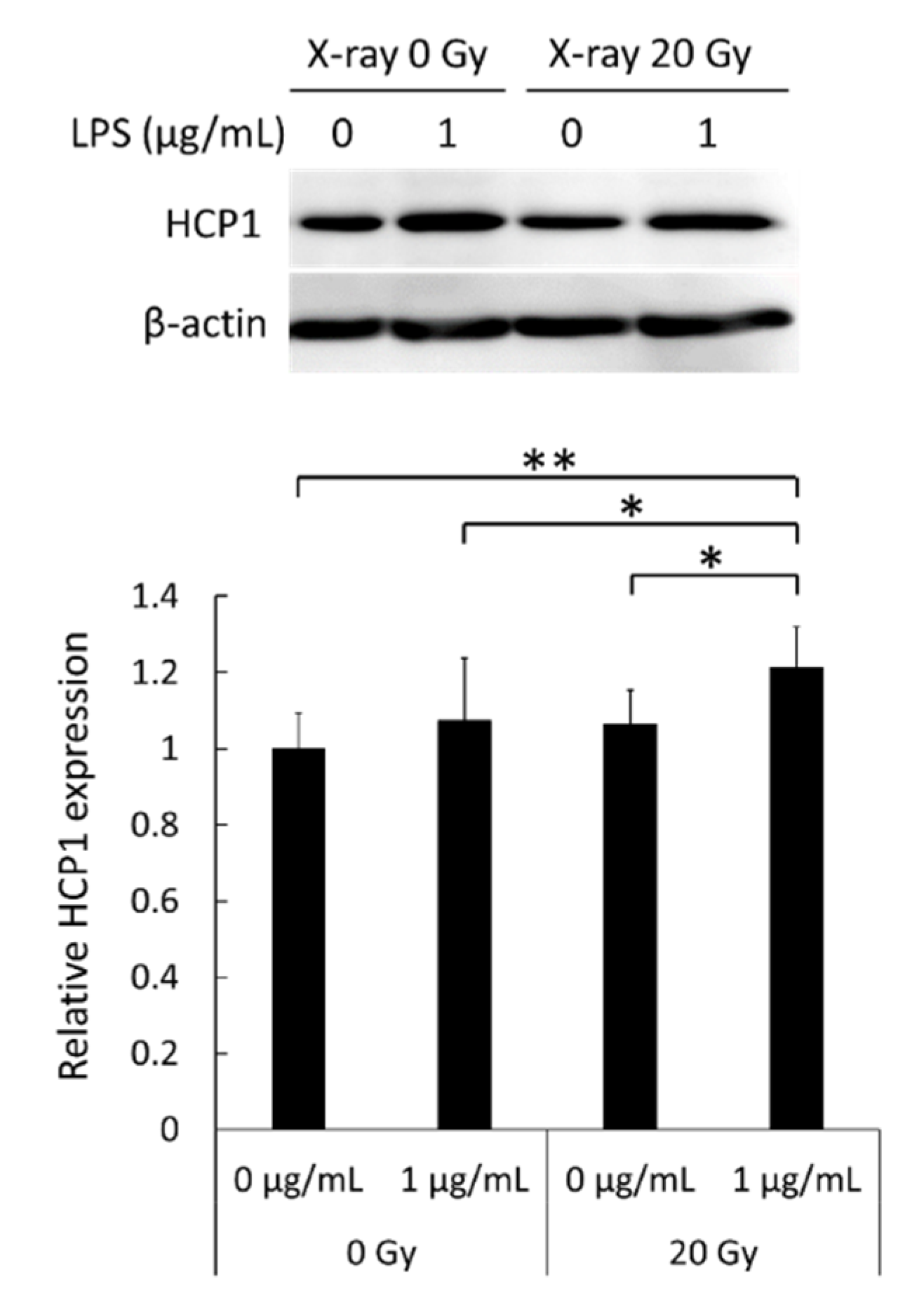 Applsci 11 03503 g005 Applsci 11 03503 g005