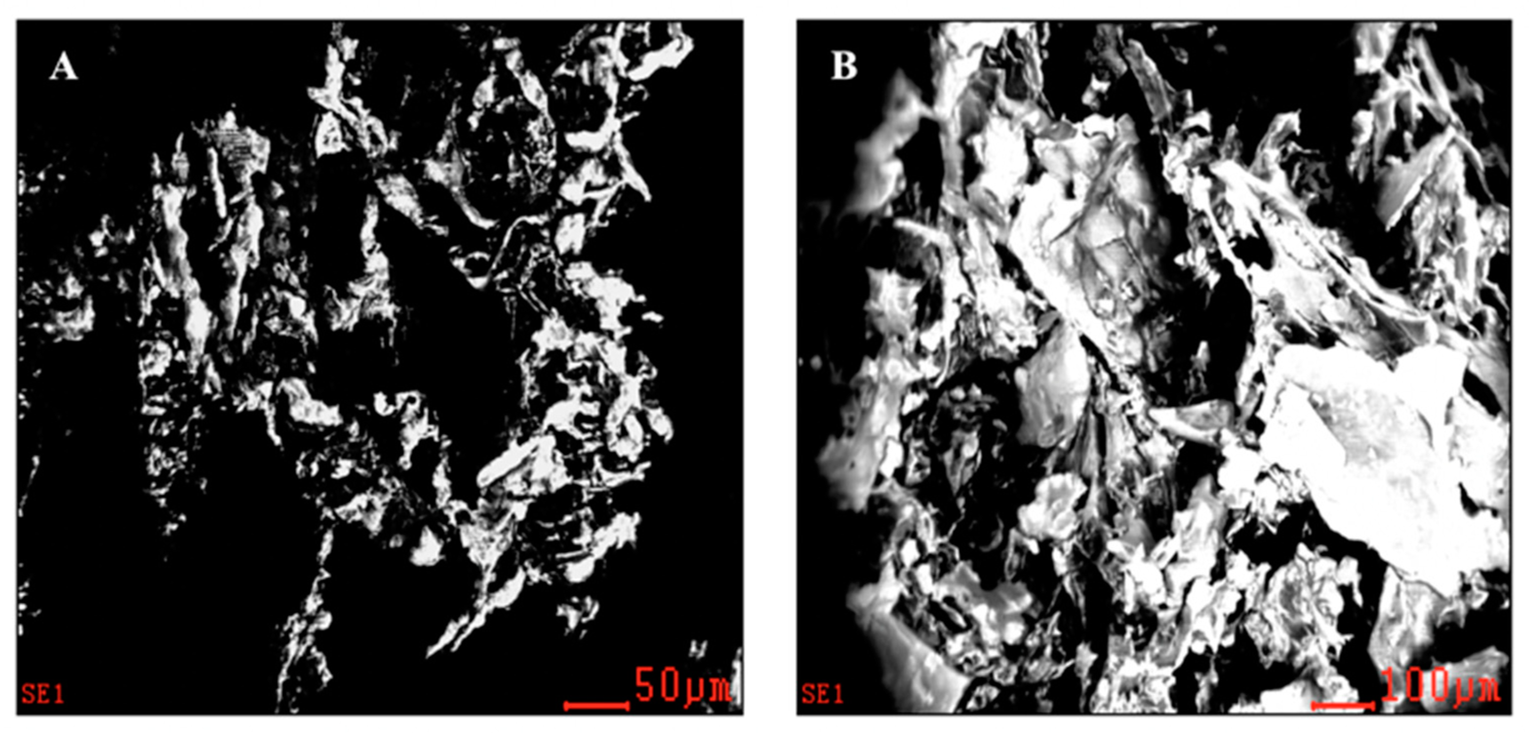 Applsci 11 03505 g003