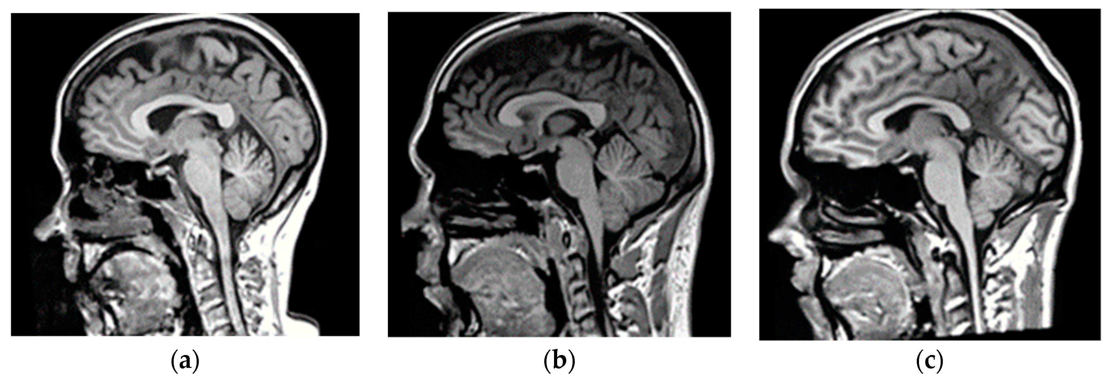 Applsci 11 03508 g002a