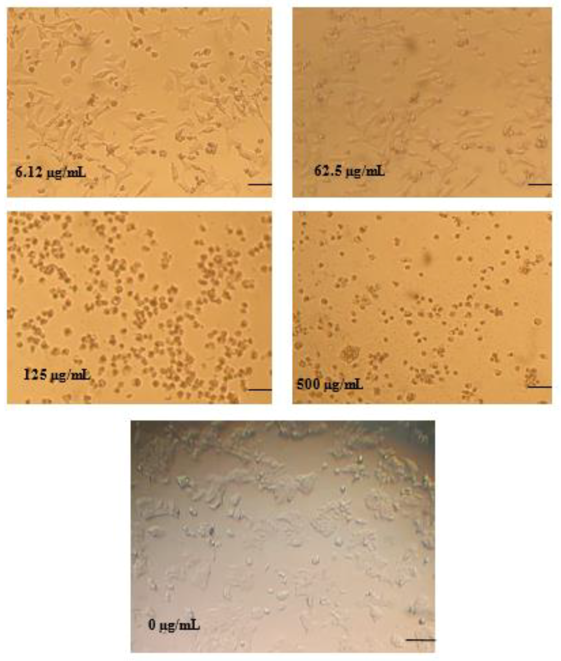 Applsci 11 03510 g004 Applsci 11 03510 g004