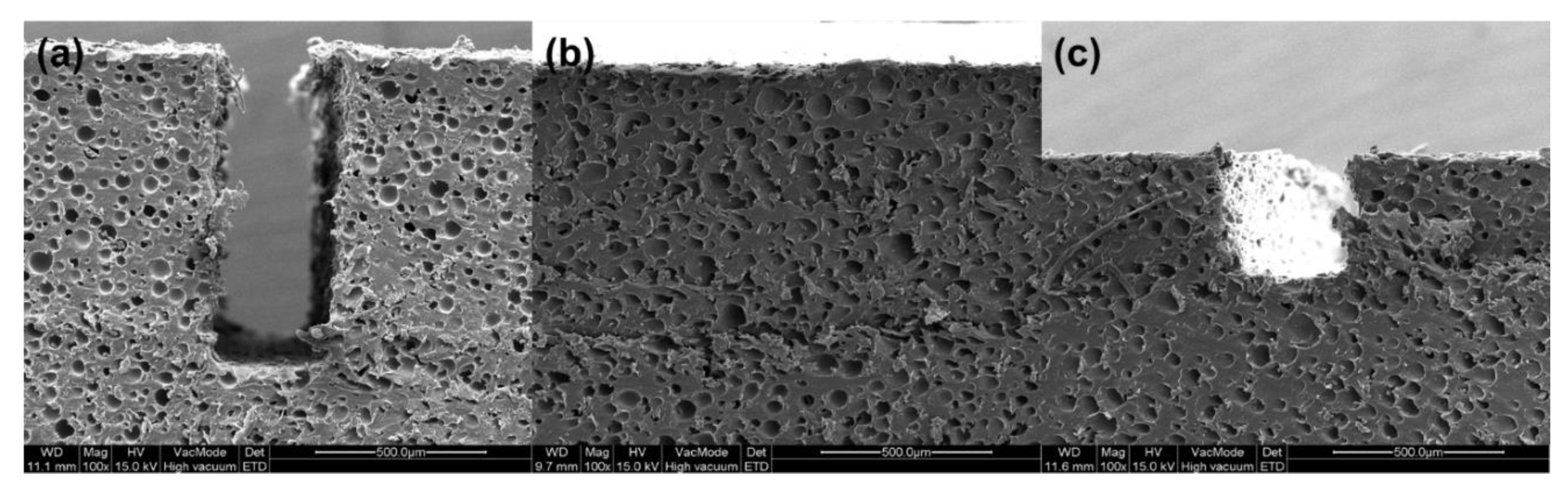 Applsci 11 03521 g017