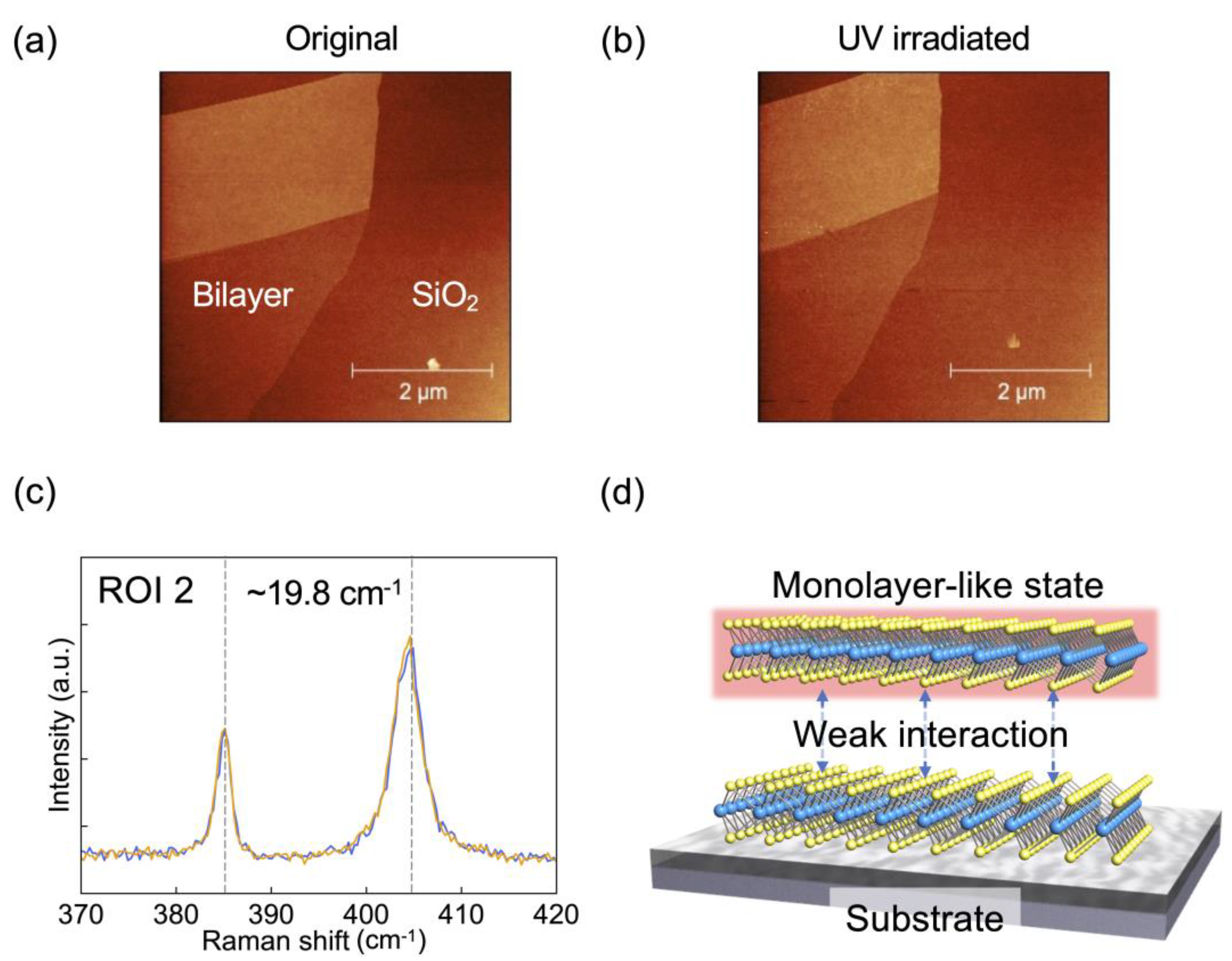 Applsci 11 03530 g005 Applsci 11 03530 g005