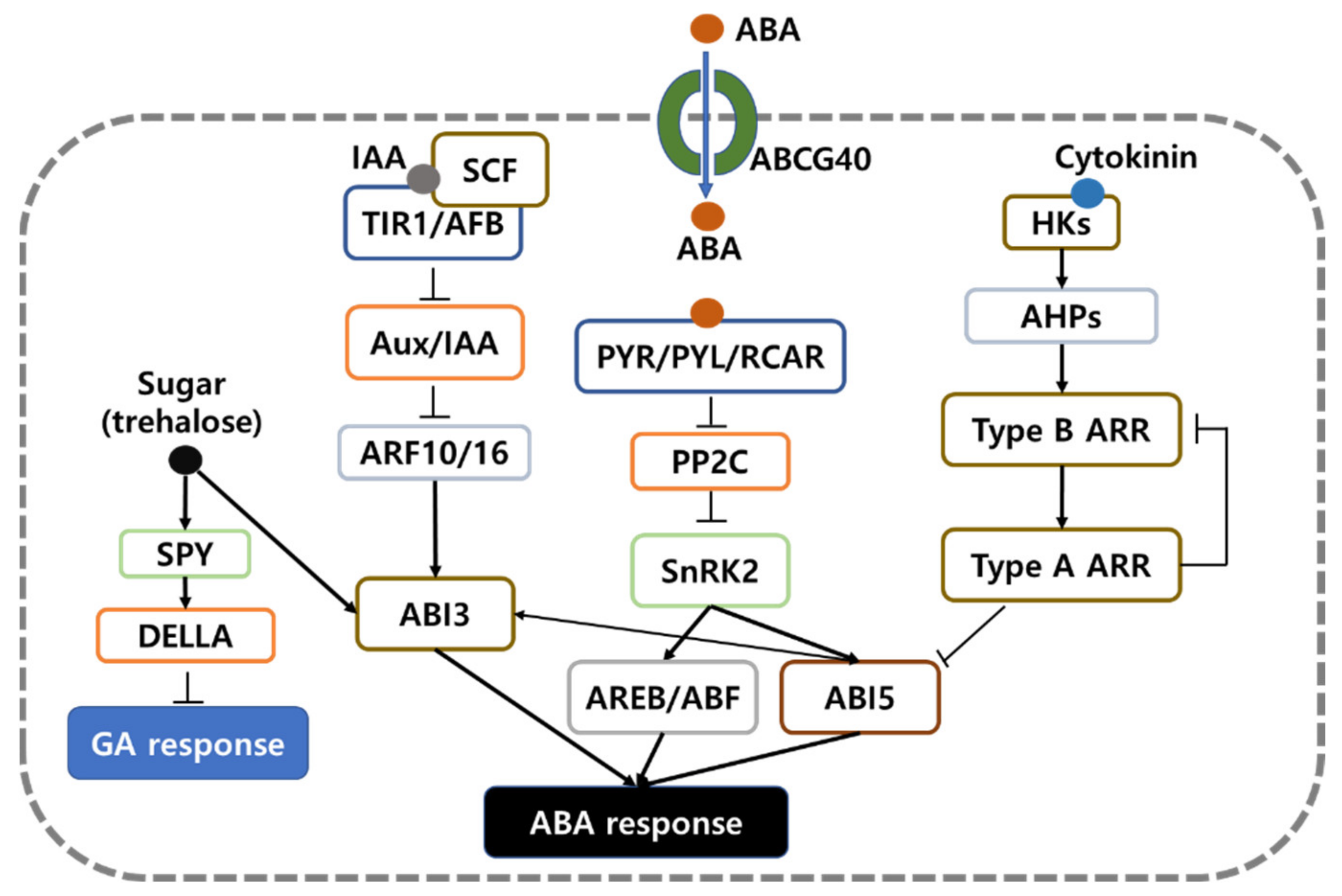 Applsci 11 03562 g007