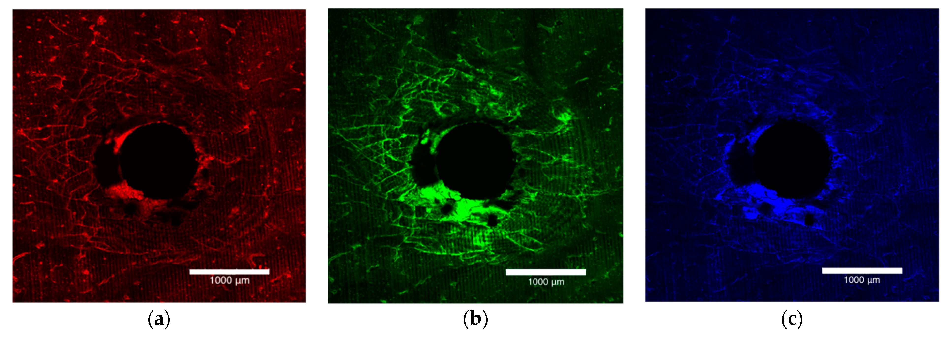 Applsci 11 03564 g001 Applsci 11 03564 g001