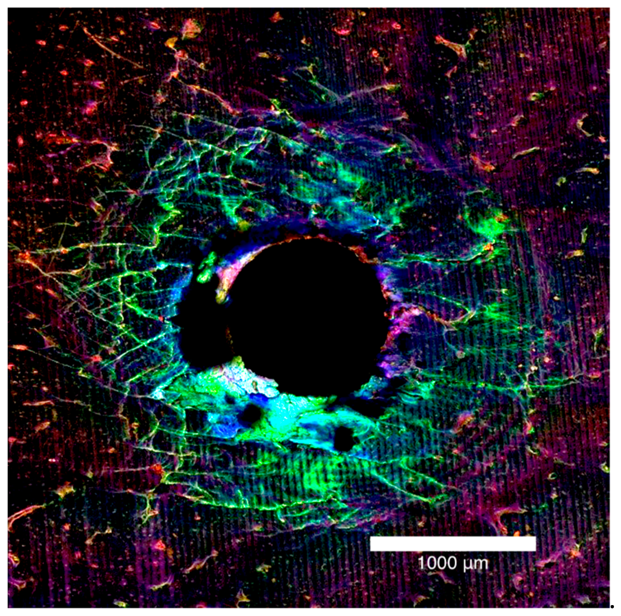 Applsci 11 03564 g002 Applsci 11 03564 g002