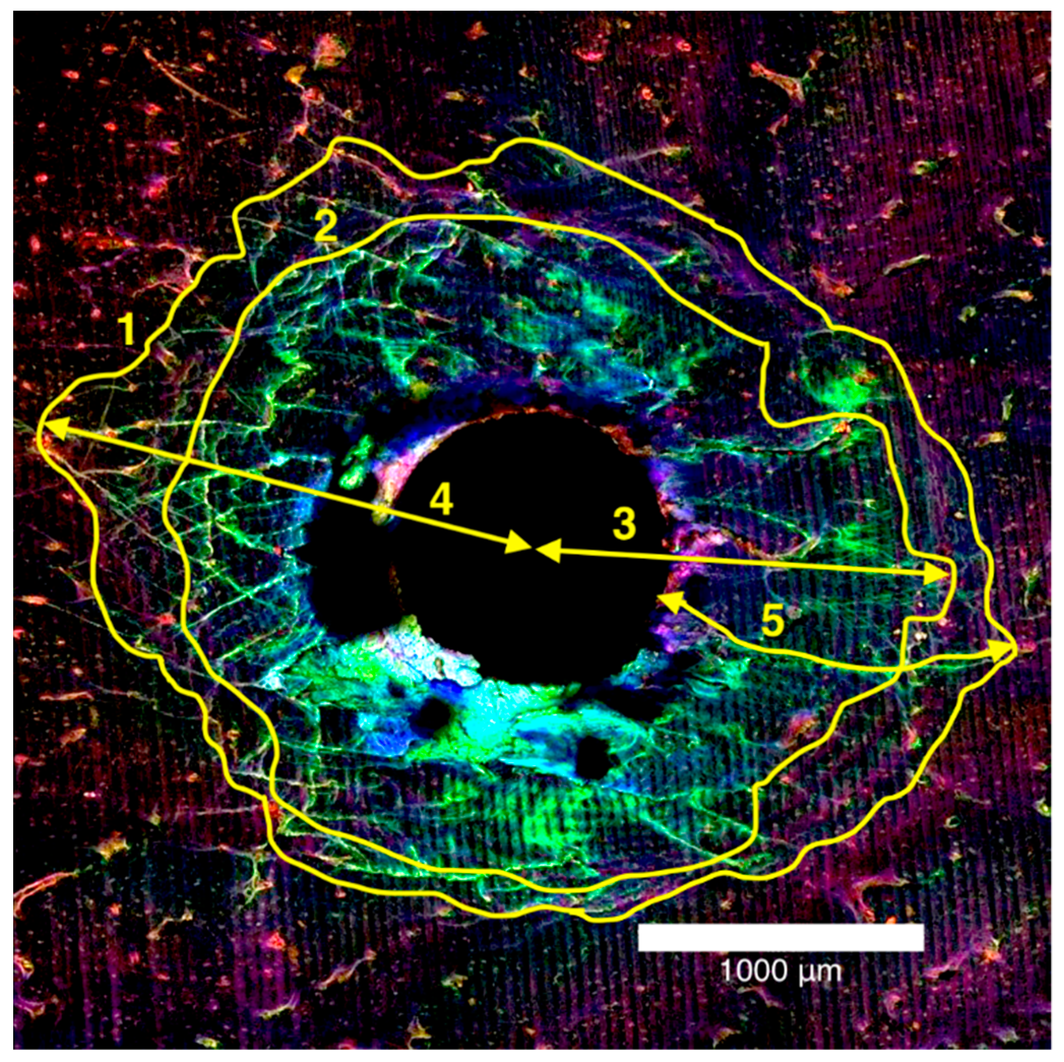 Applsci 11 03564 g003 Applsci 11 03564 g003