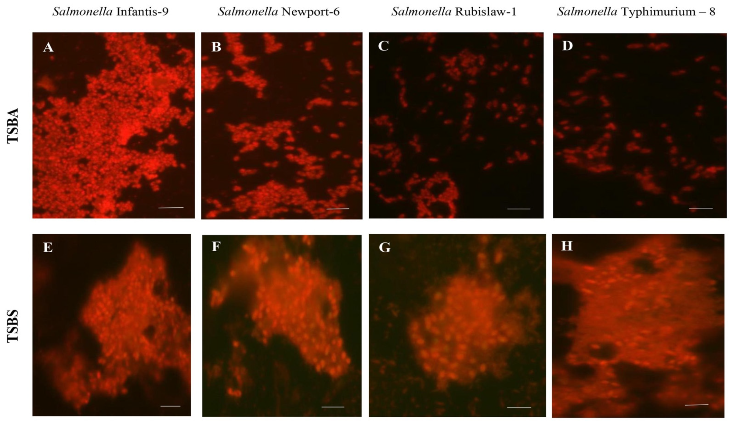 Applsci 11 03581 g002